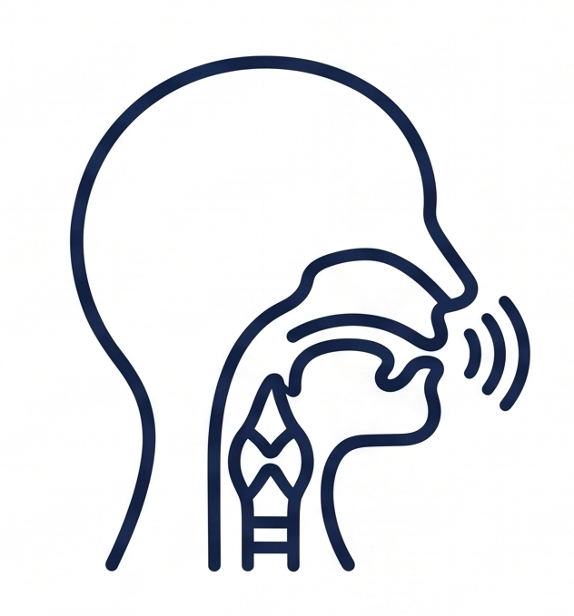 Line drawing of a throat.