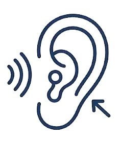 Line drawing of an ear