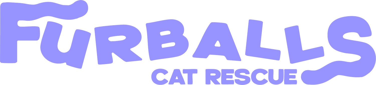 Furballs Cat Rescue