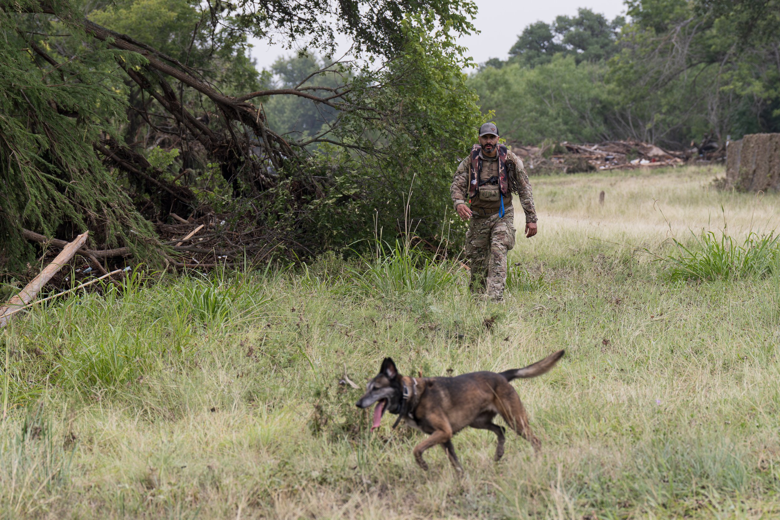 A U.S. Border Patrol Agent in fatigues walks through a grassy field with a search dog during recovery operations following the Central Texas Flooding.