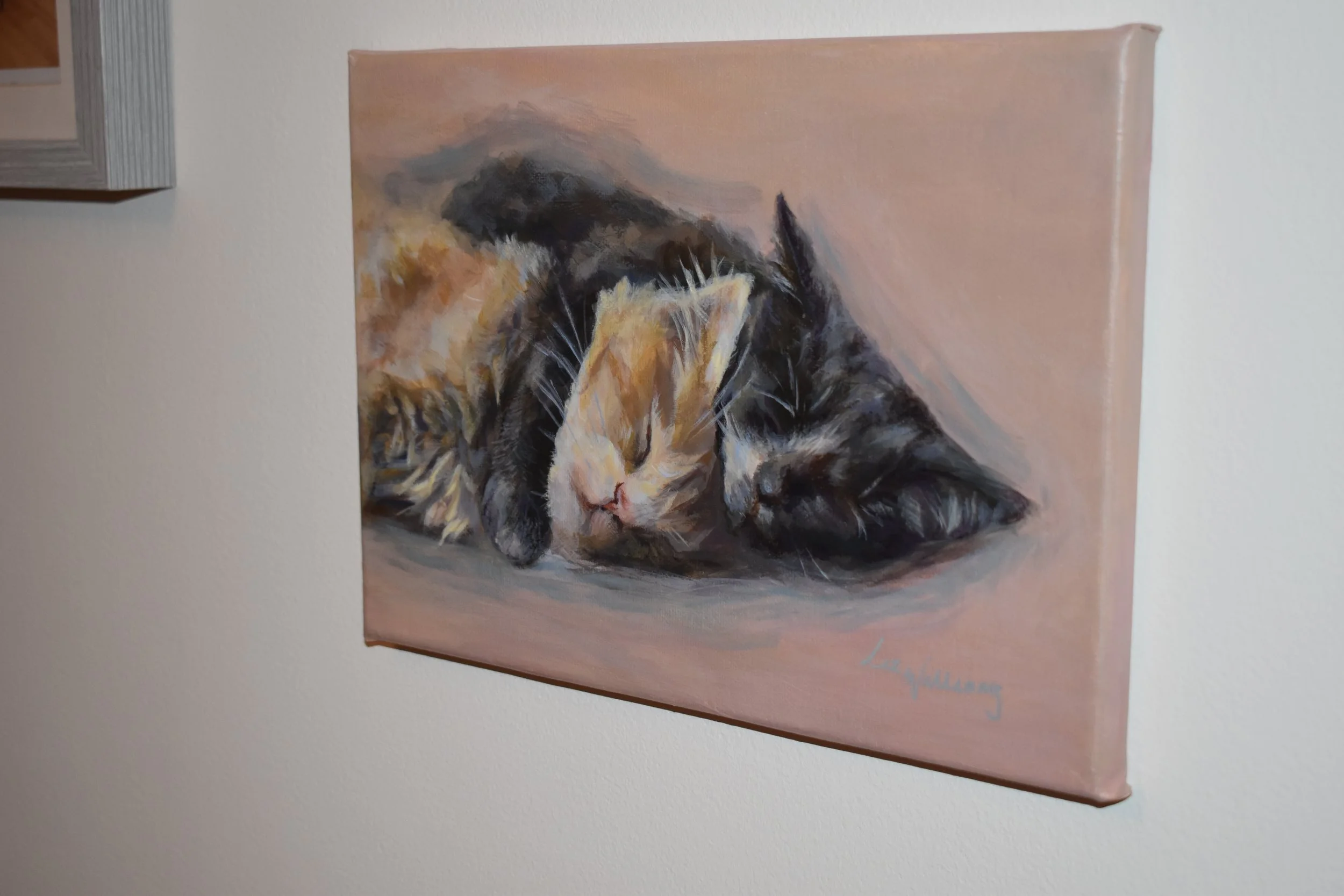 Everything you need to know