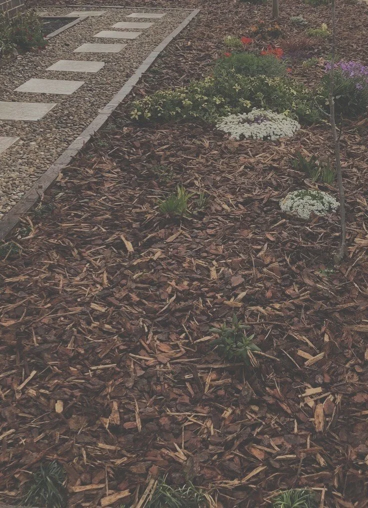 A garden bed with brown mulch, small green plants, and colorful flowers, bordered by a stone pathway with stepping stones.