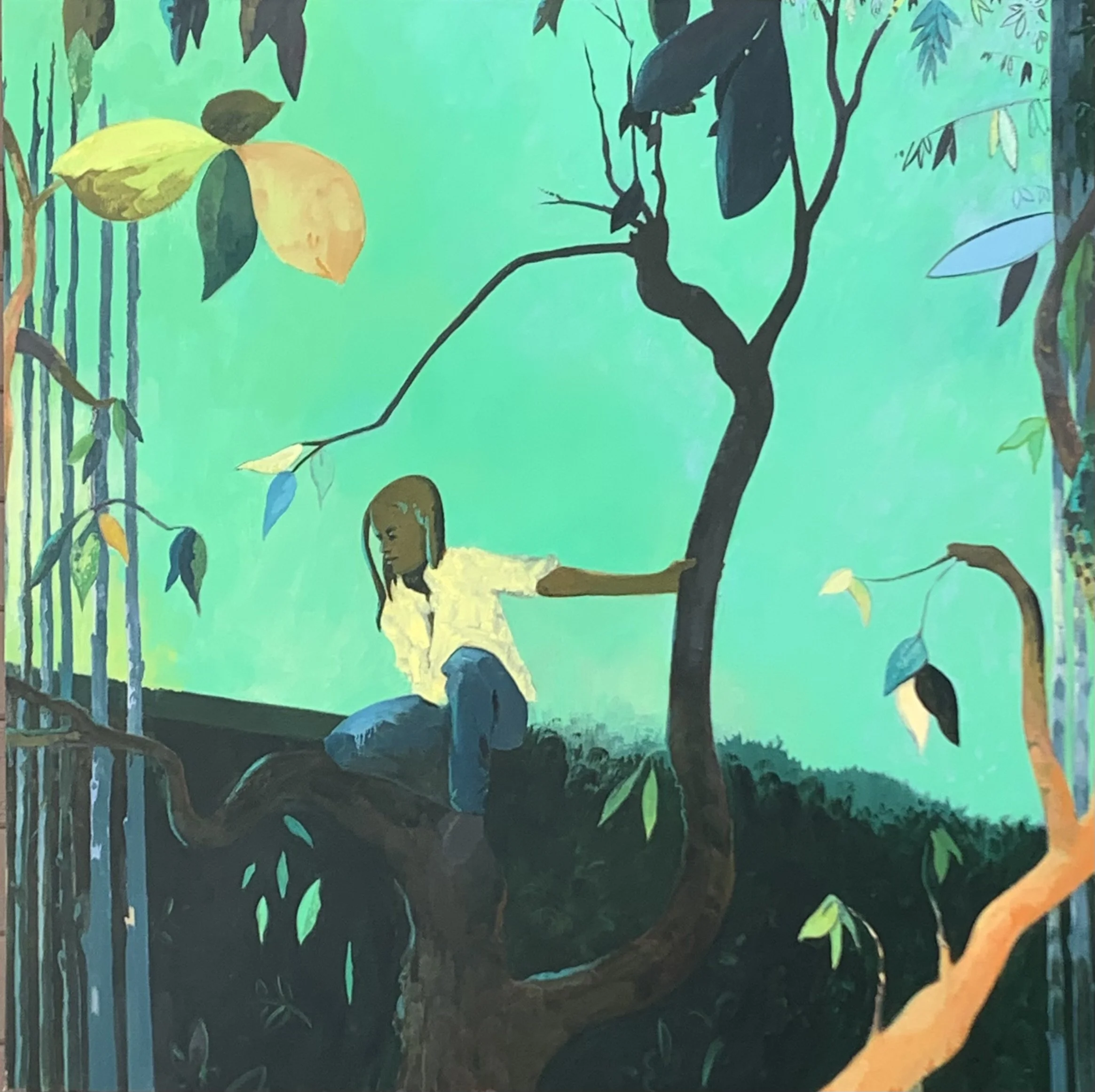 young person in tree