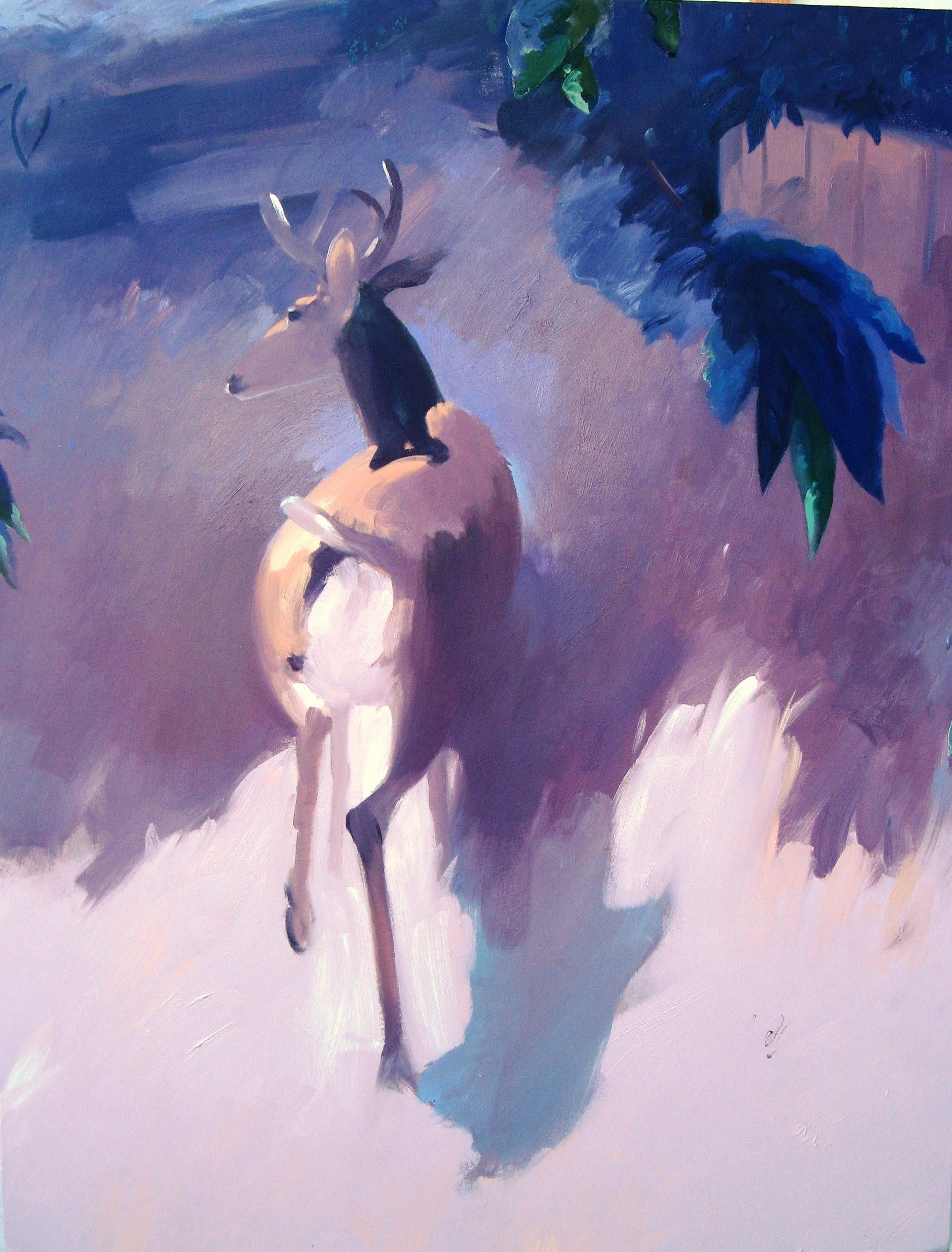 Stag moves away from viewer into shadow.