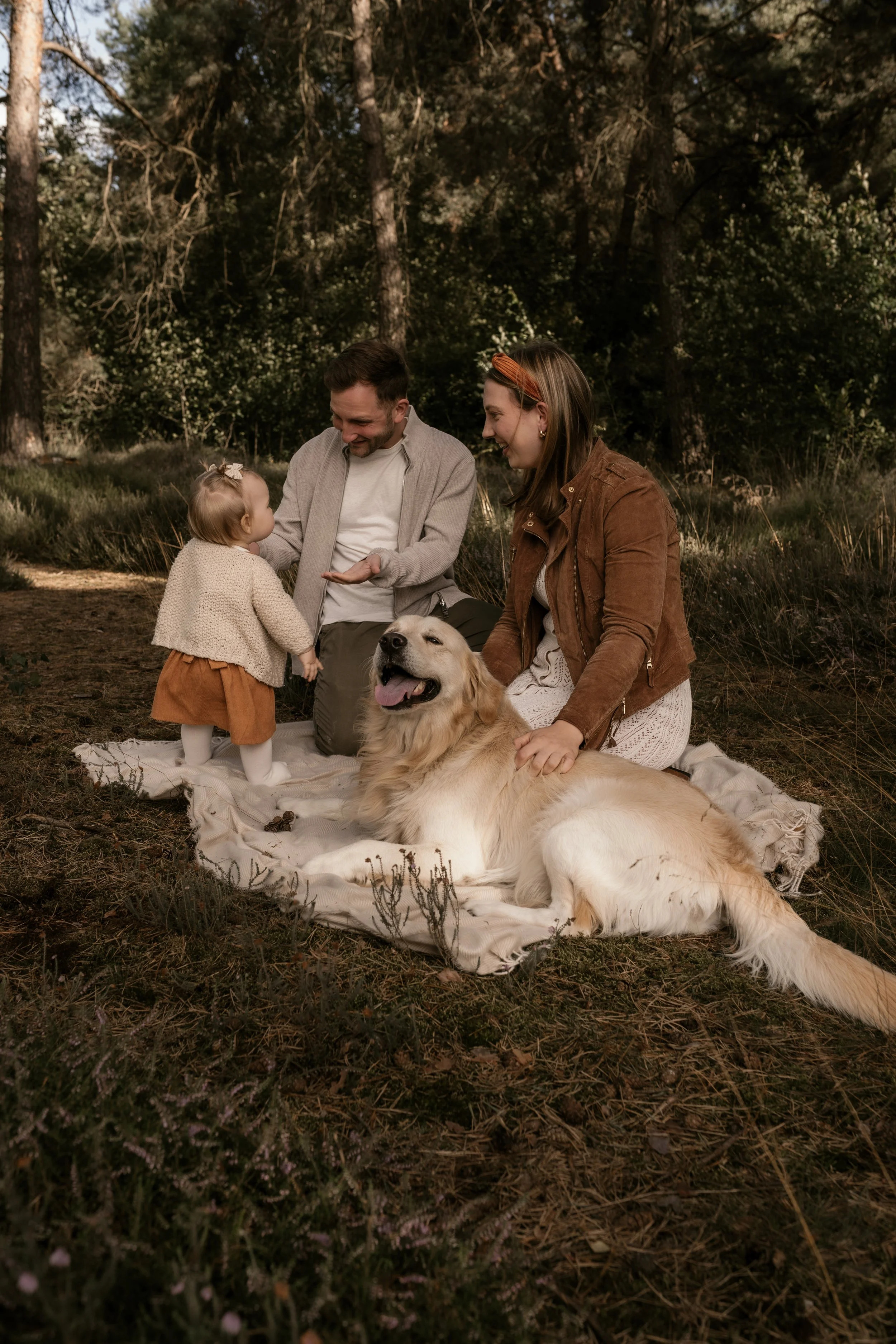Familie mit einem Hund sitzt auf einer Decke im Wald. Ein kleines Mädchen spricht mit dem mannes auf dem Knie, während die Frau den Hund streichelt. Es ist eine friedliche und glückliche Szene in der Natur.