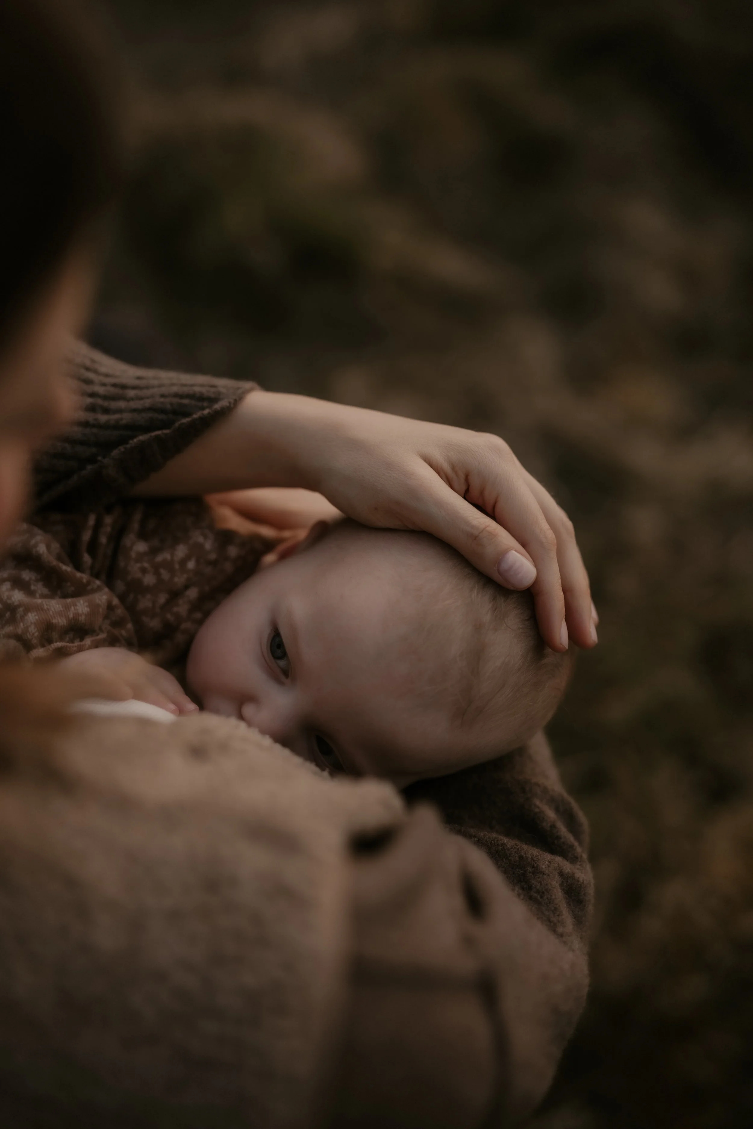 Ein Baby, das im Arm gehalten wird, mit Blickkontakt zur Kamera, während es in eine warme, braune Decke eingekuschelt ist, im natürlichen Licht.
