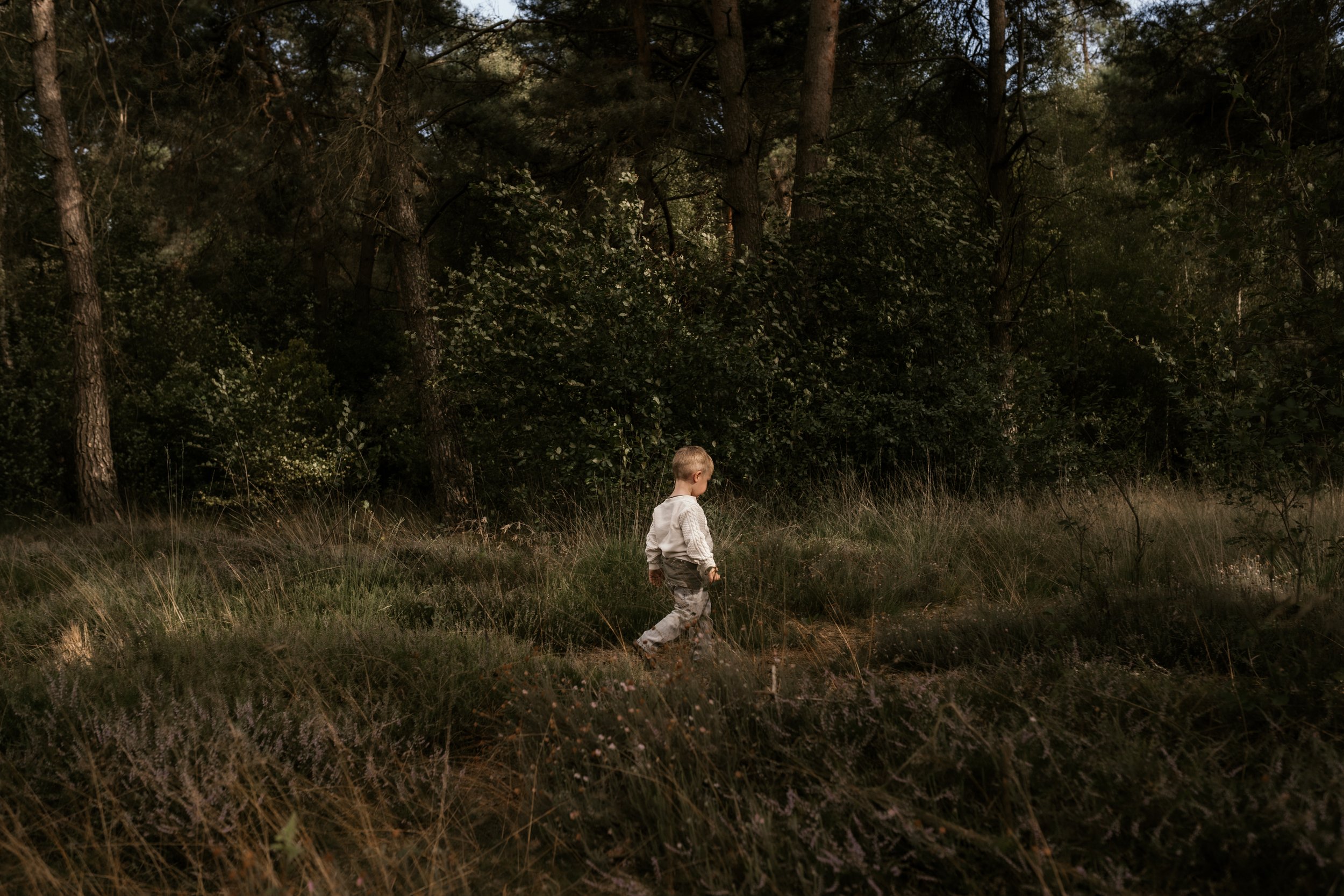Ein kleiner Junge wandert durch eine Waldlichtung, umgeben von Bäumen und hohem Gras in natürlicher Umgebung.