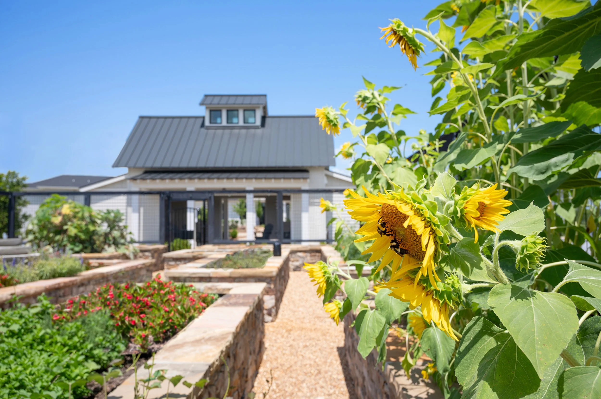 GS Pointe Cols-Garden.jpg