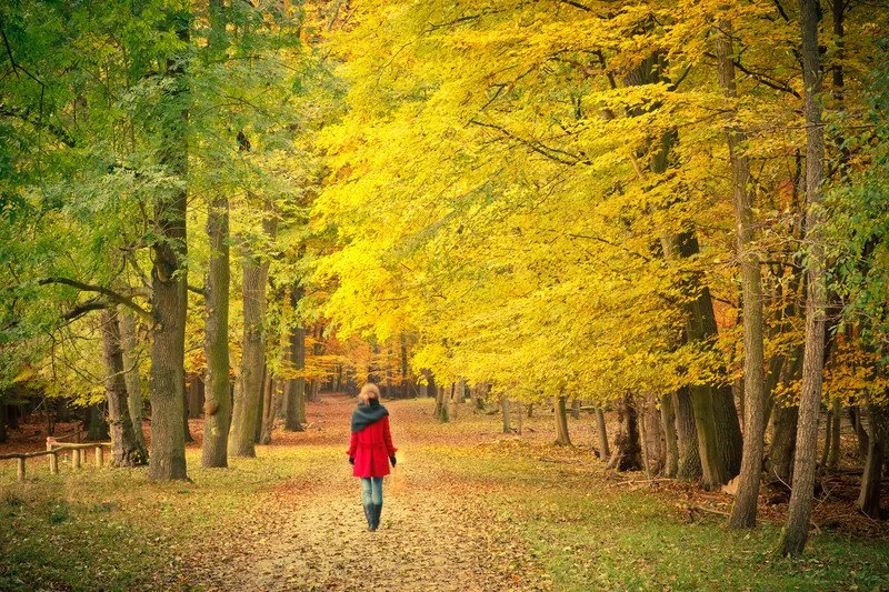 From Pharmacy to the Playground: What Motherhood Taught Me About Women’s Health