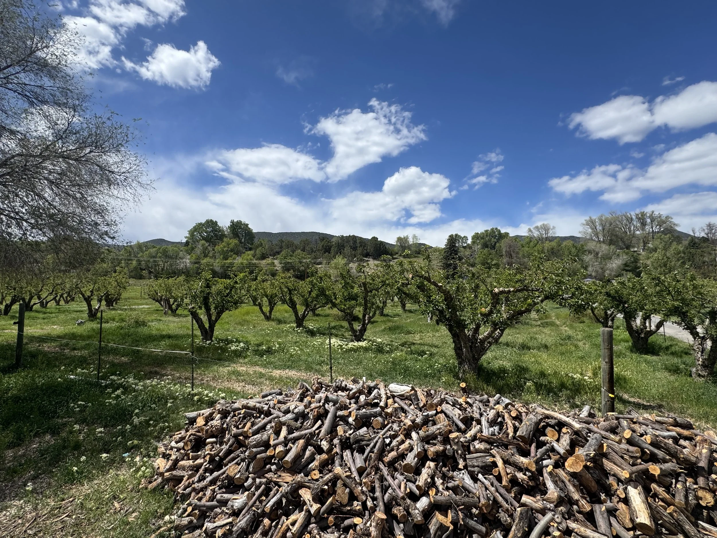A scenic view of a rural landscape with a clear blue sky, white clouds, distant mountains, and green trees. In the foreground, there is a pile of chopped firewood and a garden with trees and grass.