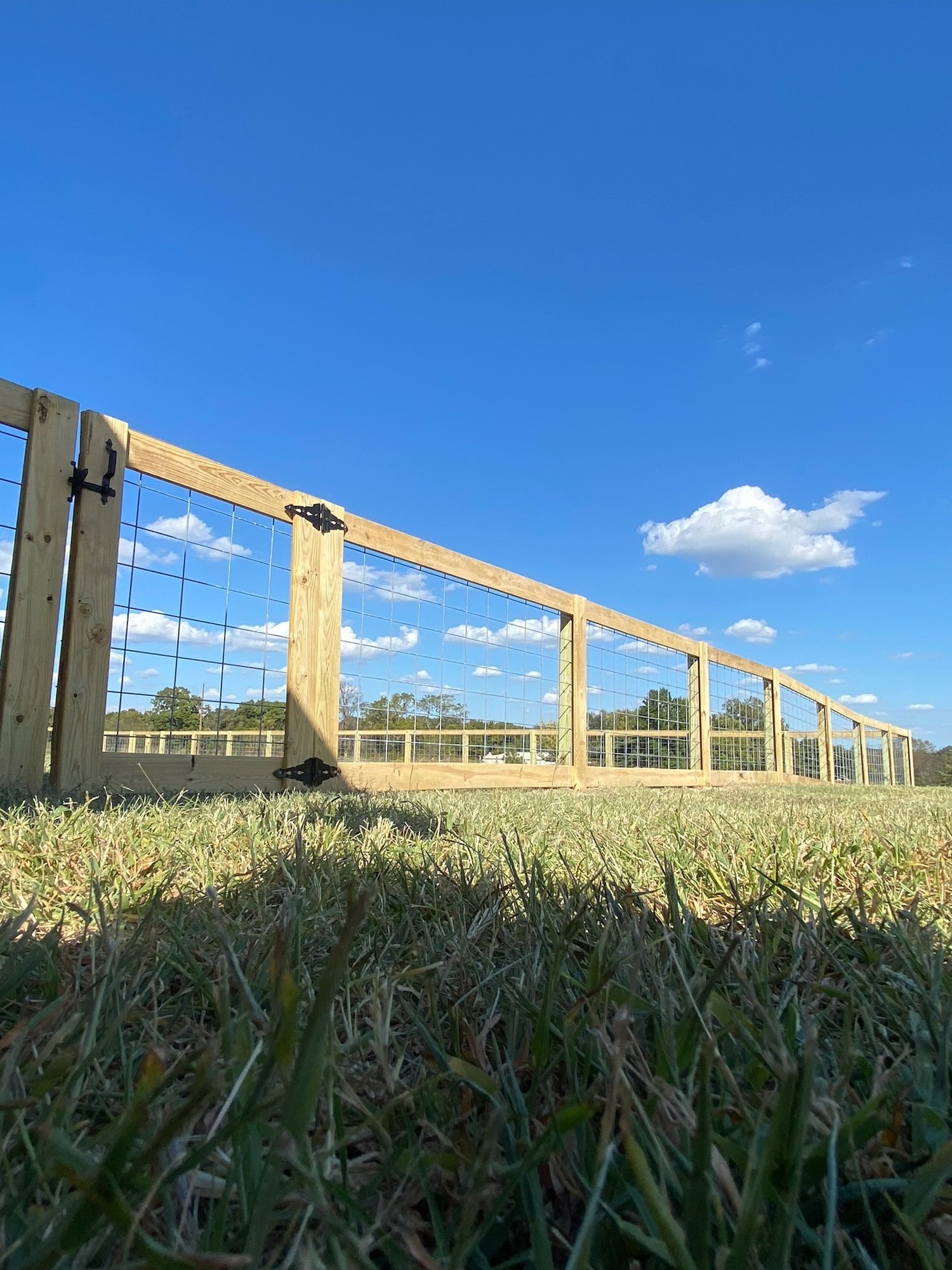Wood-framed wire fence with a matching gate on black hinges, seen from ground level in tall grass.
