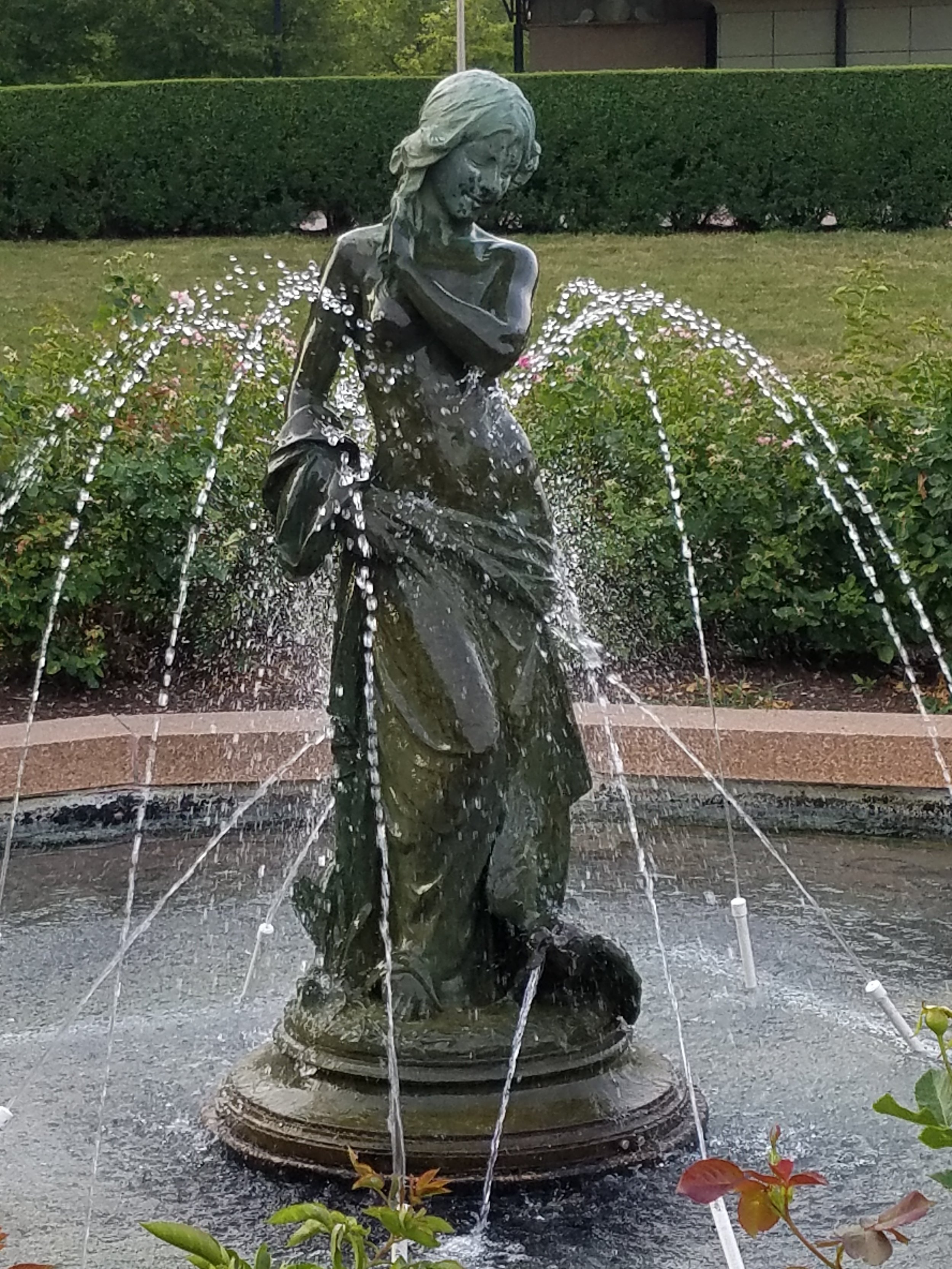 10 20170704_194124.jpg