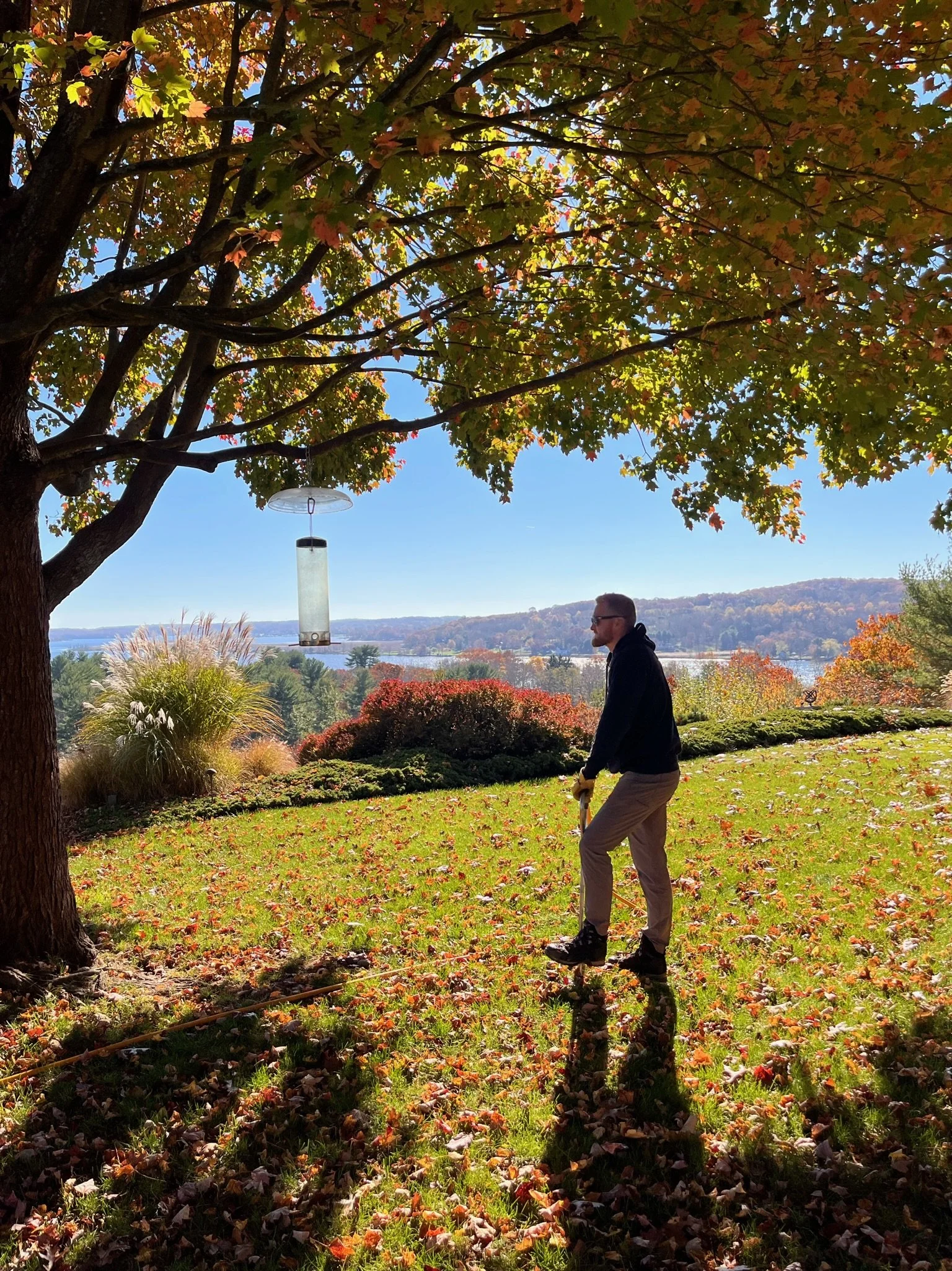 A person raking leaves under a large tree with colorful fall foliage. The background features a scenic view of a lake and rolling hills on a clear, sunny day.
