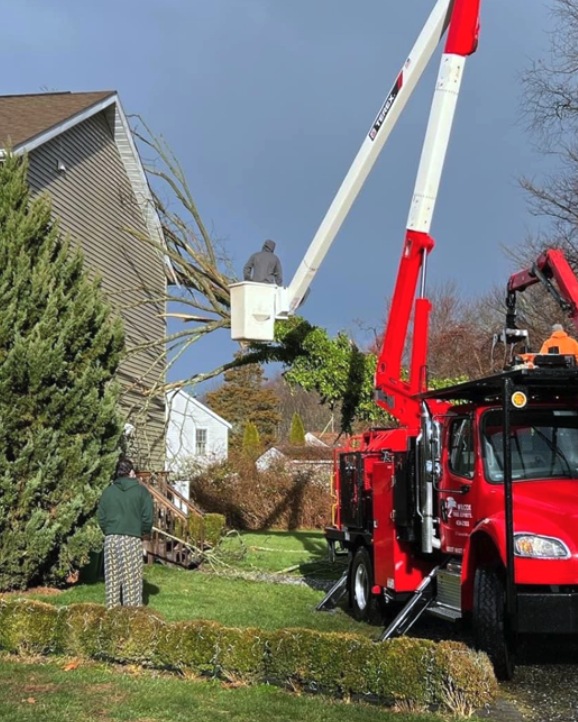 A large red bucket truck with an extendable arm is lifting a worker to trim a tree near a house. Two people are on the ground nearby, one watching the worker.