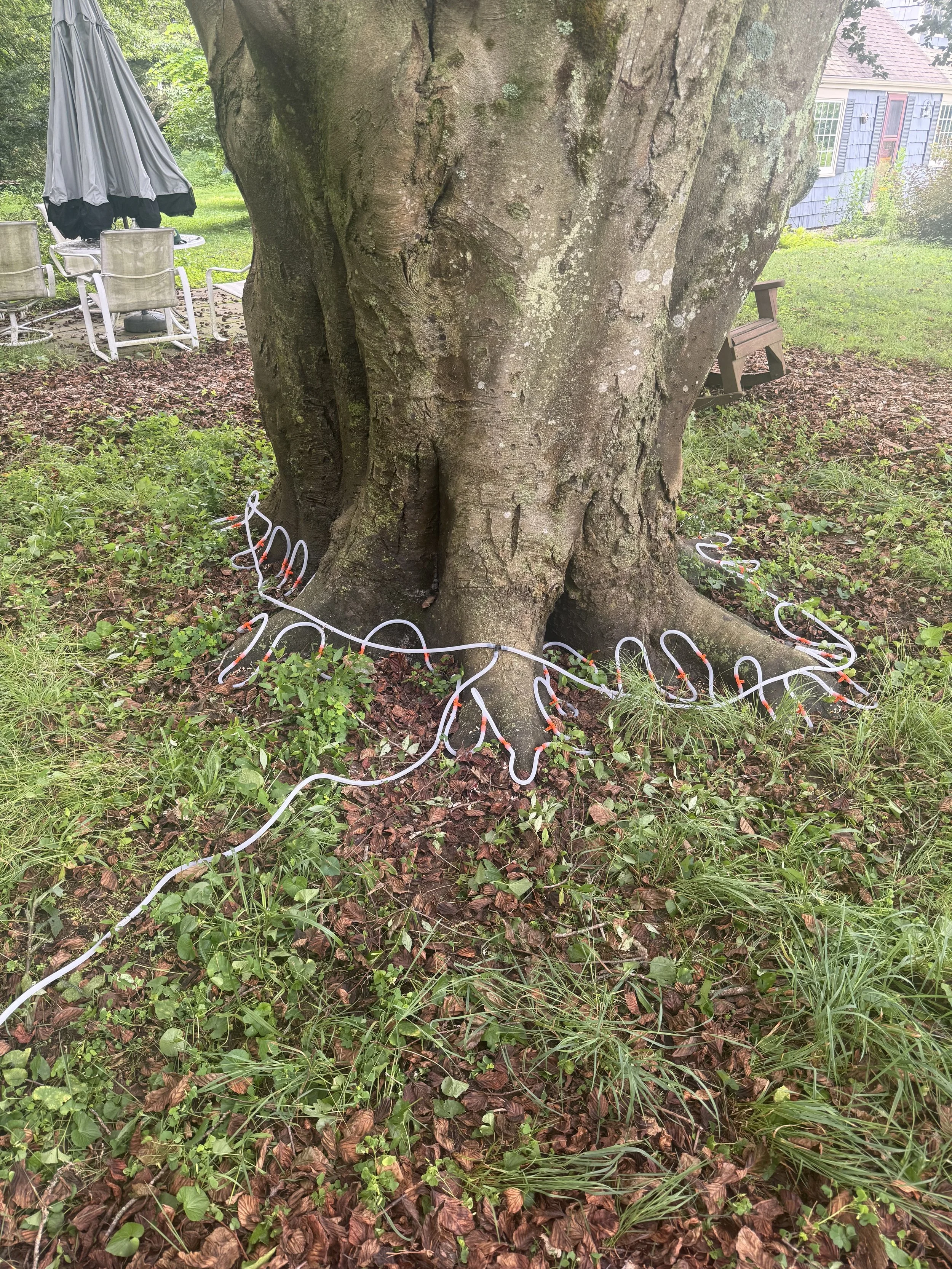 A person using a hose connected to a fire truck to spray water on trees in a park during fall.