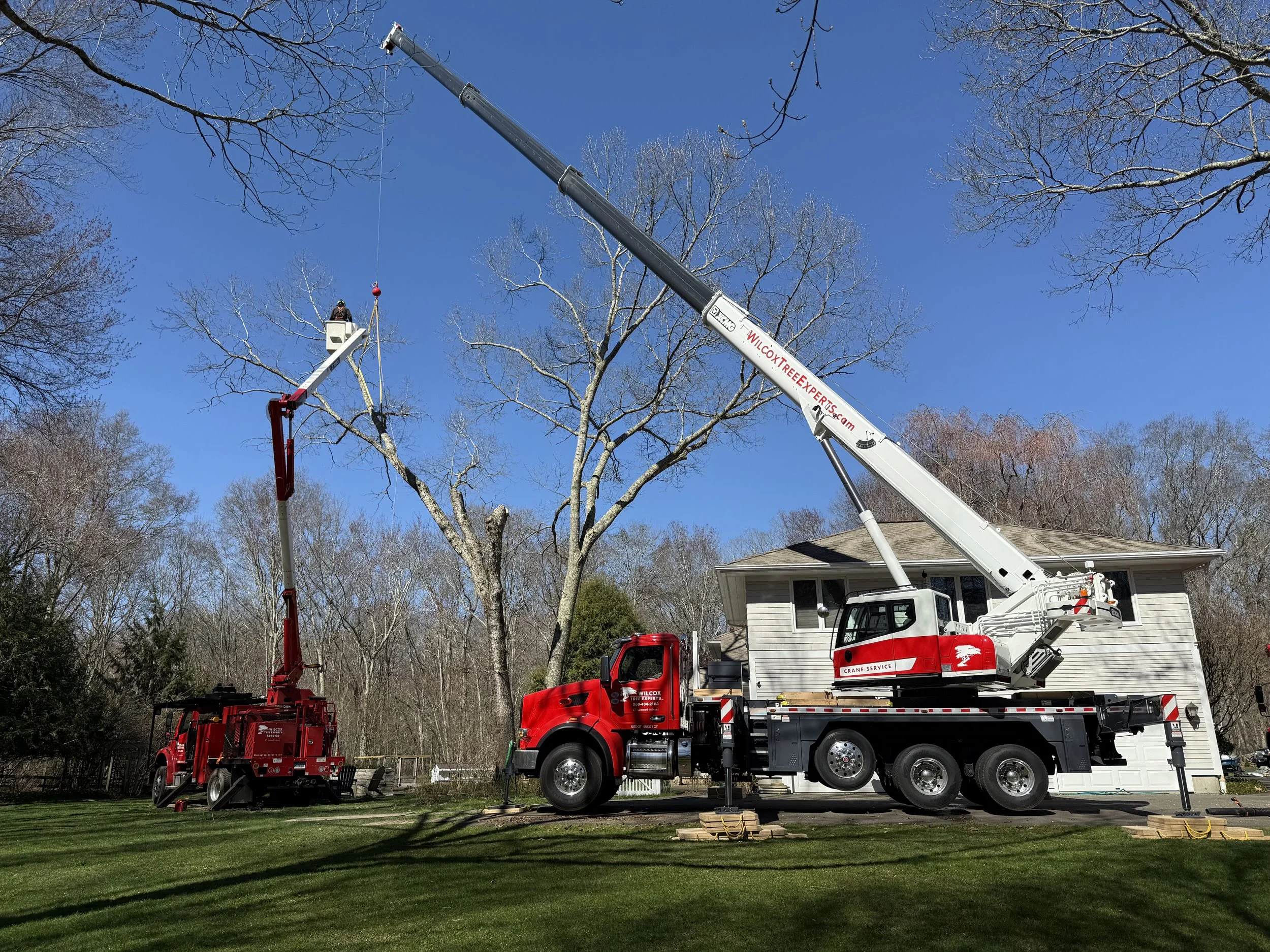 A crane lifting a large tree over a residential house, with two fire trucks assisting in the operation on a sunny day.