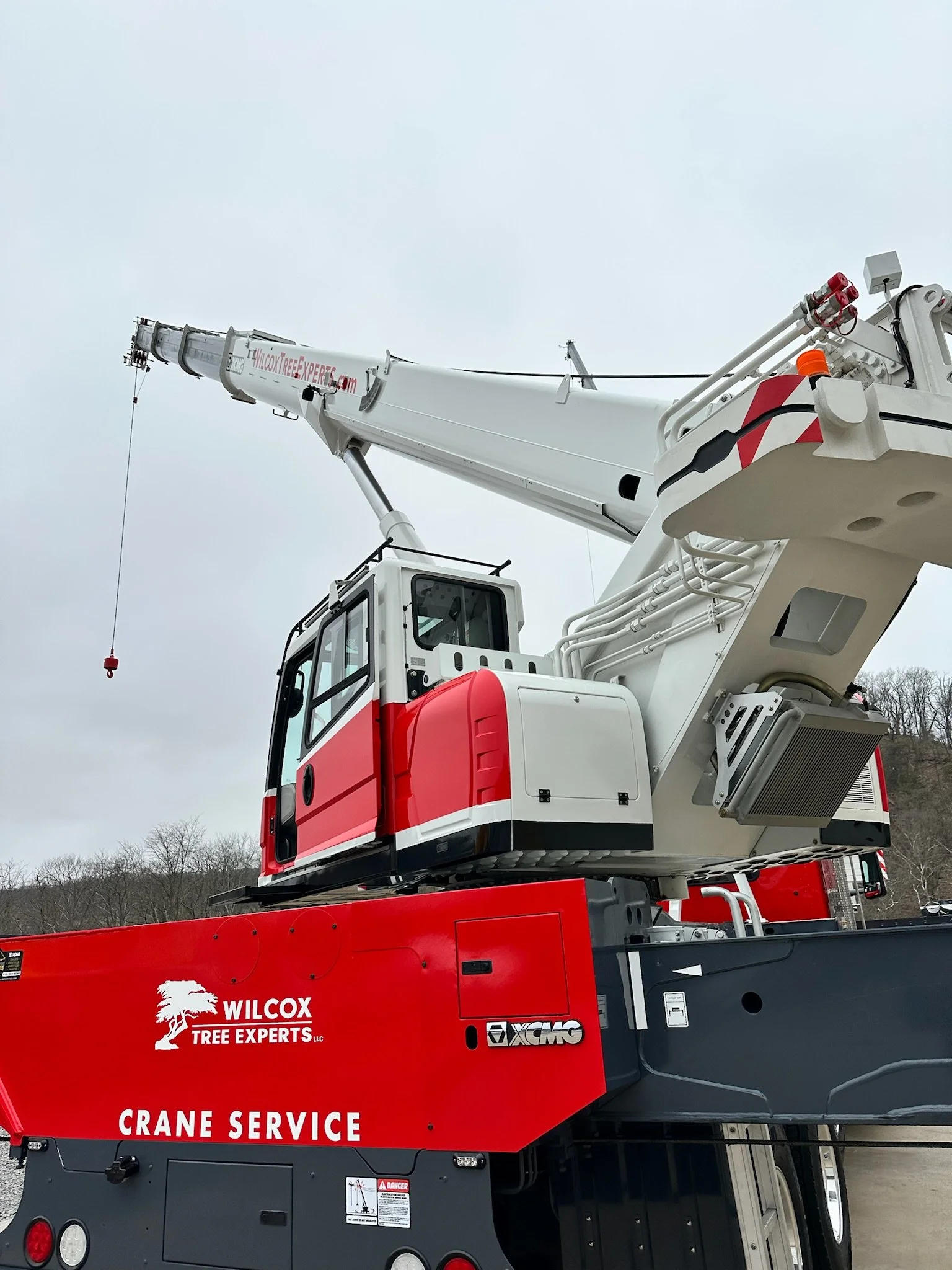 A crane truck with hydraulic boom extended, labeled 'Wilcox Tree Experts LLC' and 'Crane Service'