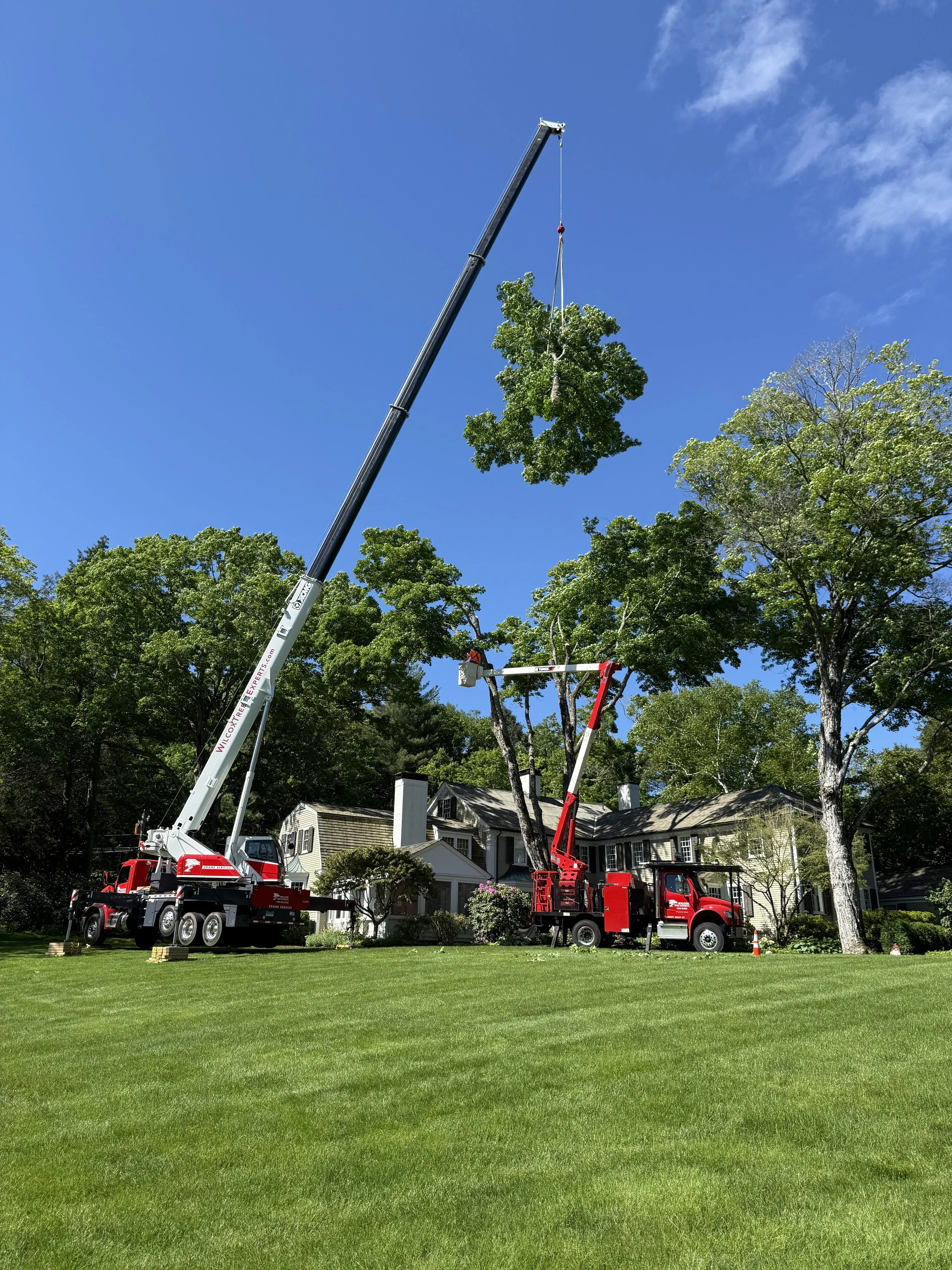 A large red crane truck lifting a tree trunk outside a white church with a tall steeple, trees, and a cloudy sky.
