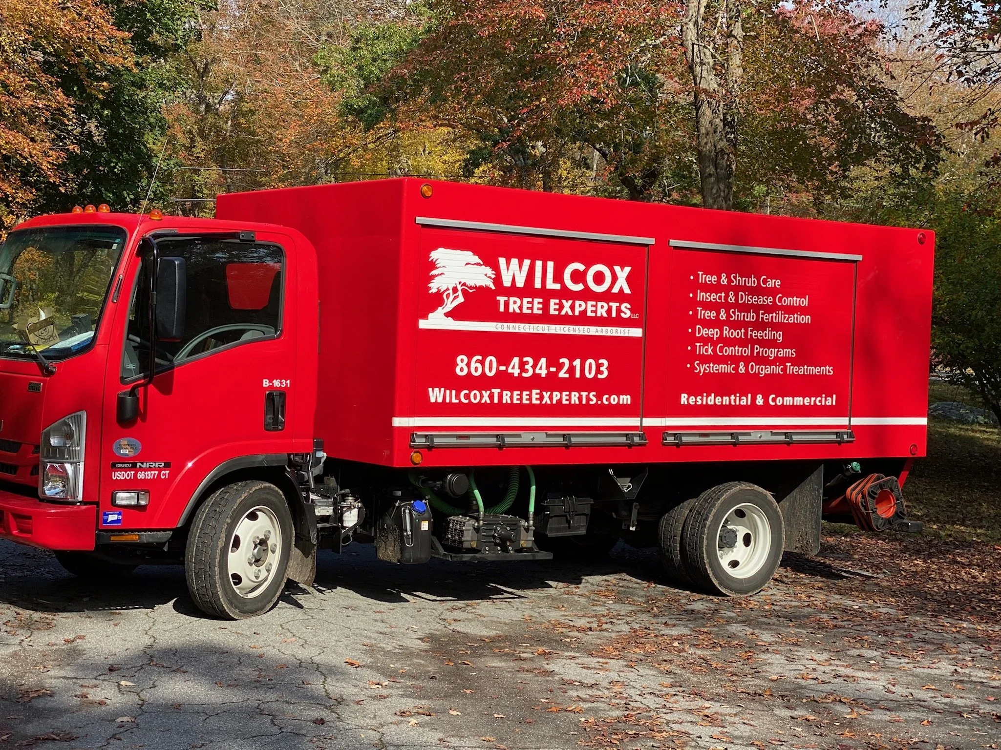 Red utility truck with Wilcox Tree Experts advertising. List of services and contact number on side, parked on a cracked asphalt surface with fall-colored trees in background.