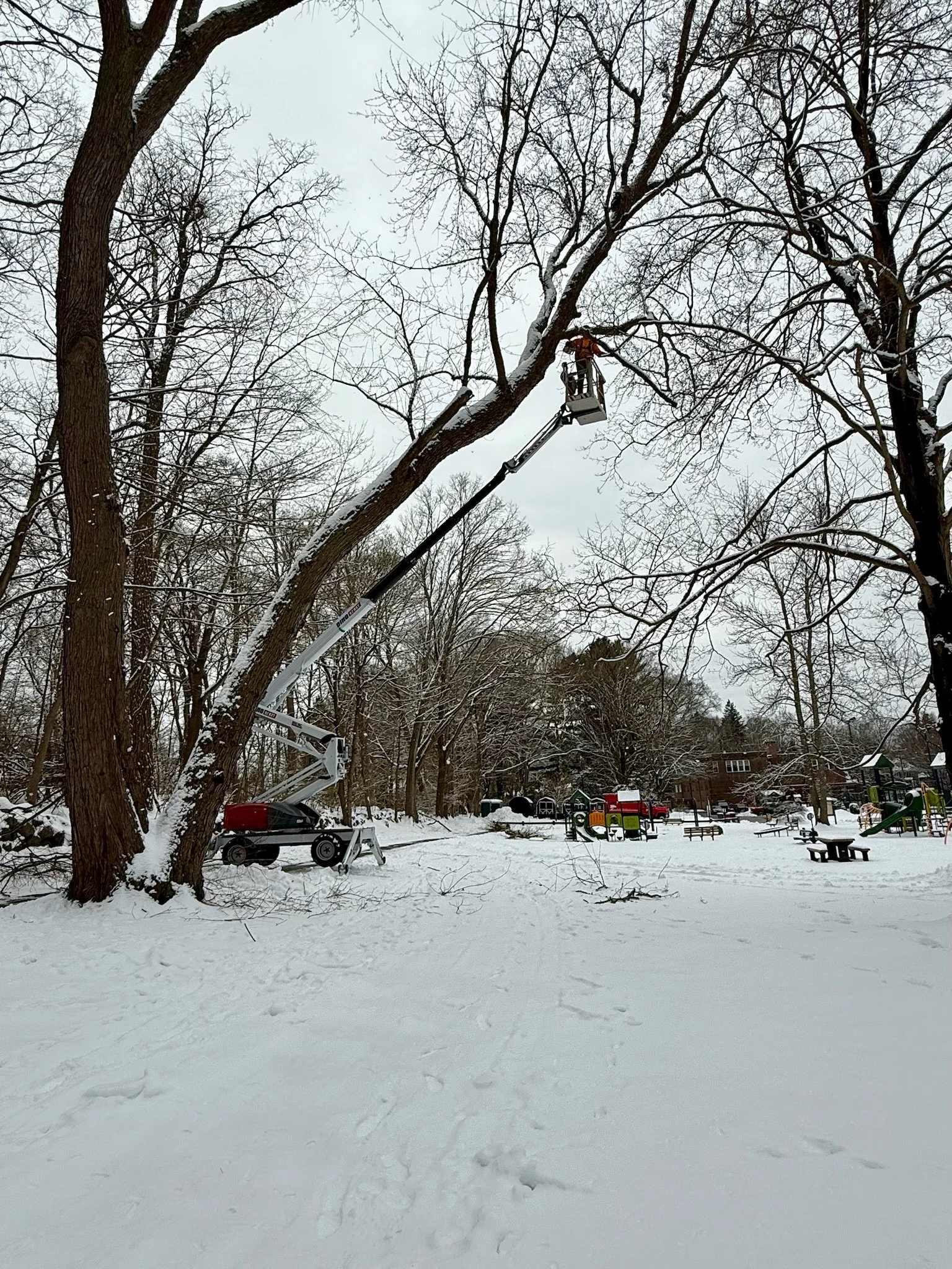 Worker in a cherry picker cutting a large, snow-covered tree branch in a park with playground equipment and benches, surrounded by snow and leafless trees.