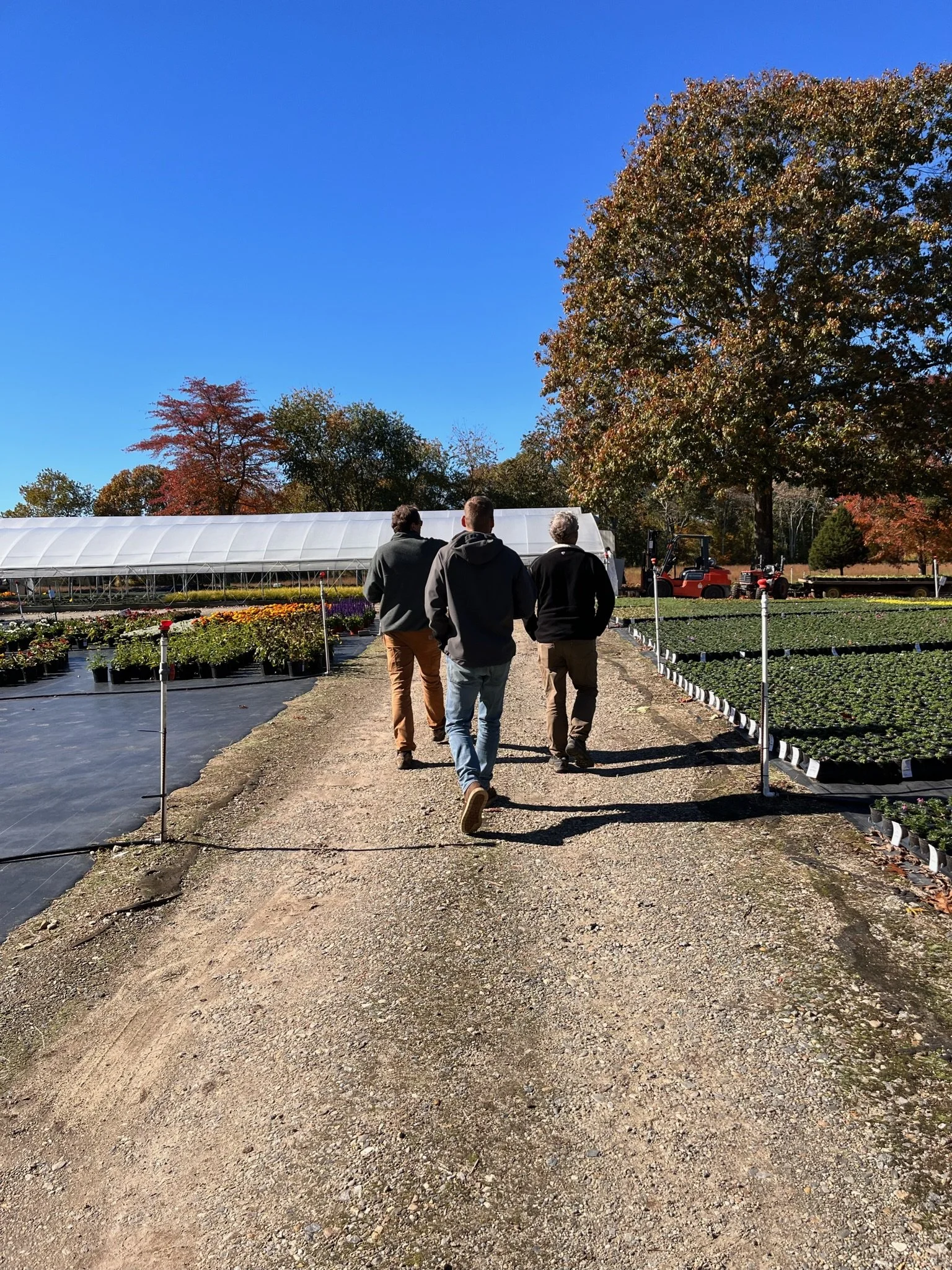 Three people walking on a dirt path in a nursery or garden center with plants and trees around, clear blue sky, and large trees in the background.