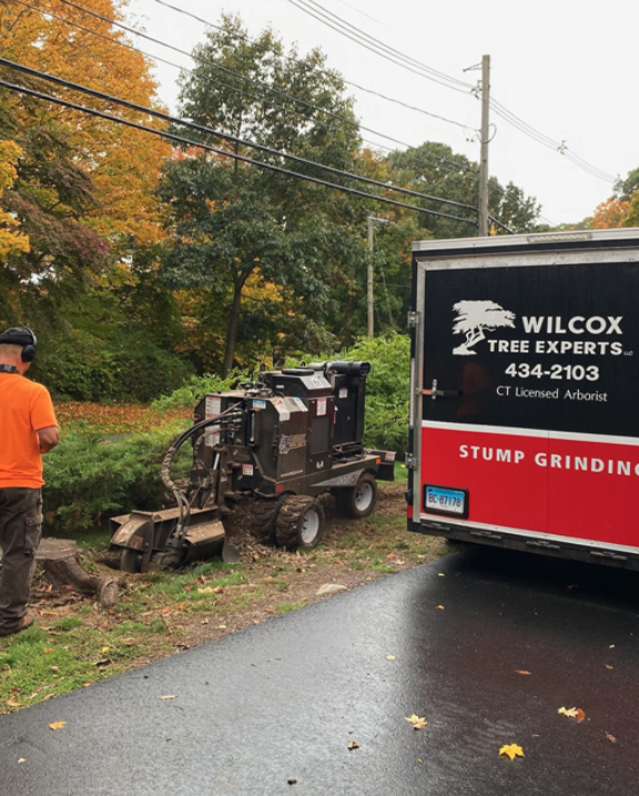 A truck with a stump grinding attachment operating near a curb on a residential street, with a worker standing nearby and trees with autumn foliage in the background.