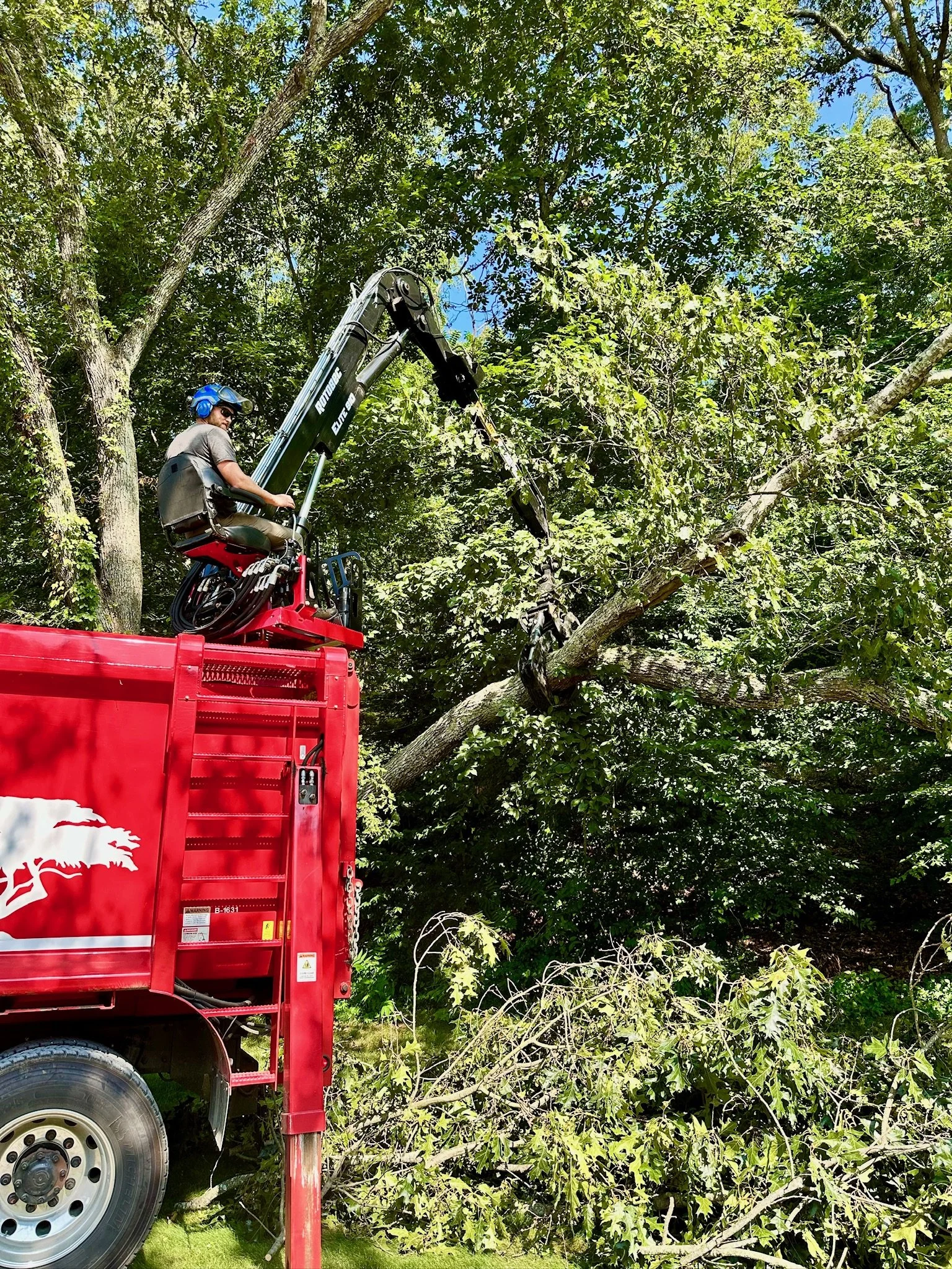 A person operating a tree-trimming bucket truck with a scissor lift, cutting a large tree branch in a forested area on a sunny day.