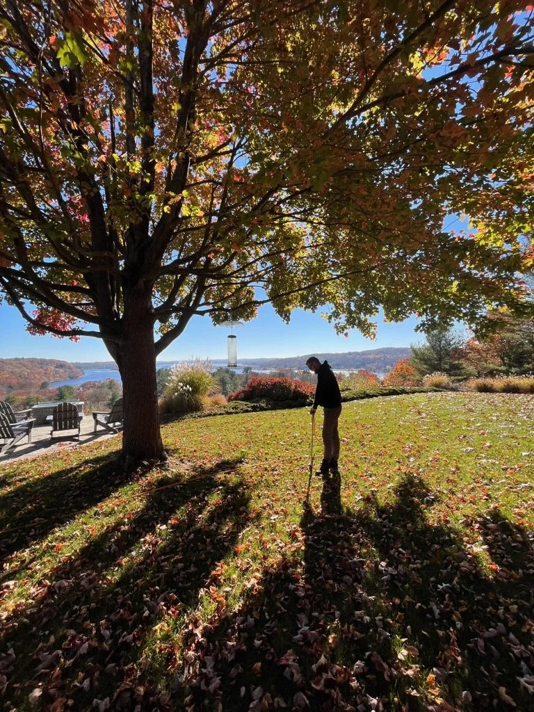 String lights wrapped around the base of a large tree in a grassy yard, with outdoor chairs and a table with an umbrella visible in the background.