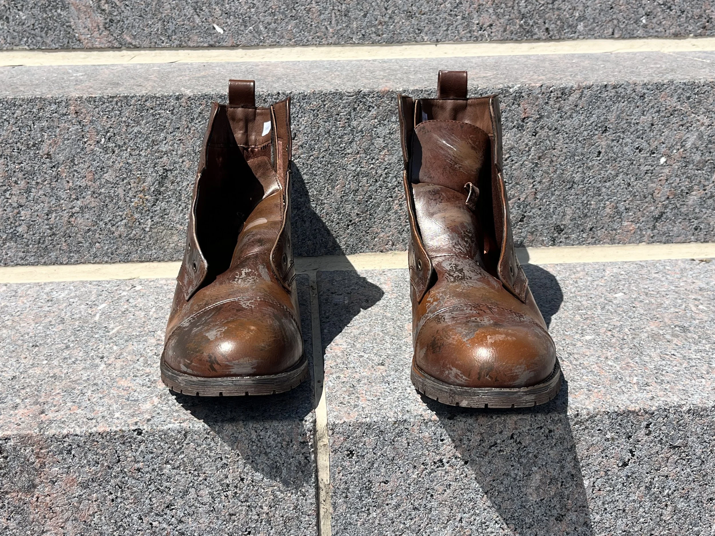 Cunning Little Vixen (Des Moines Metro Opera)