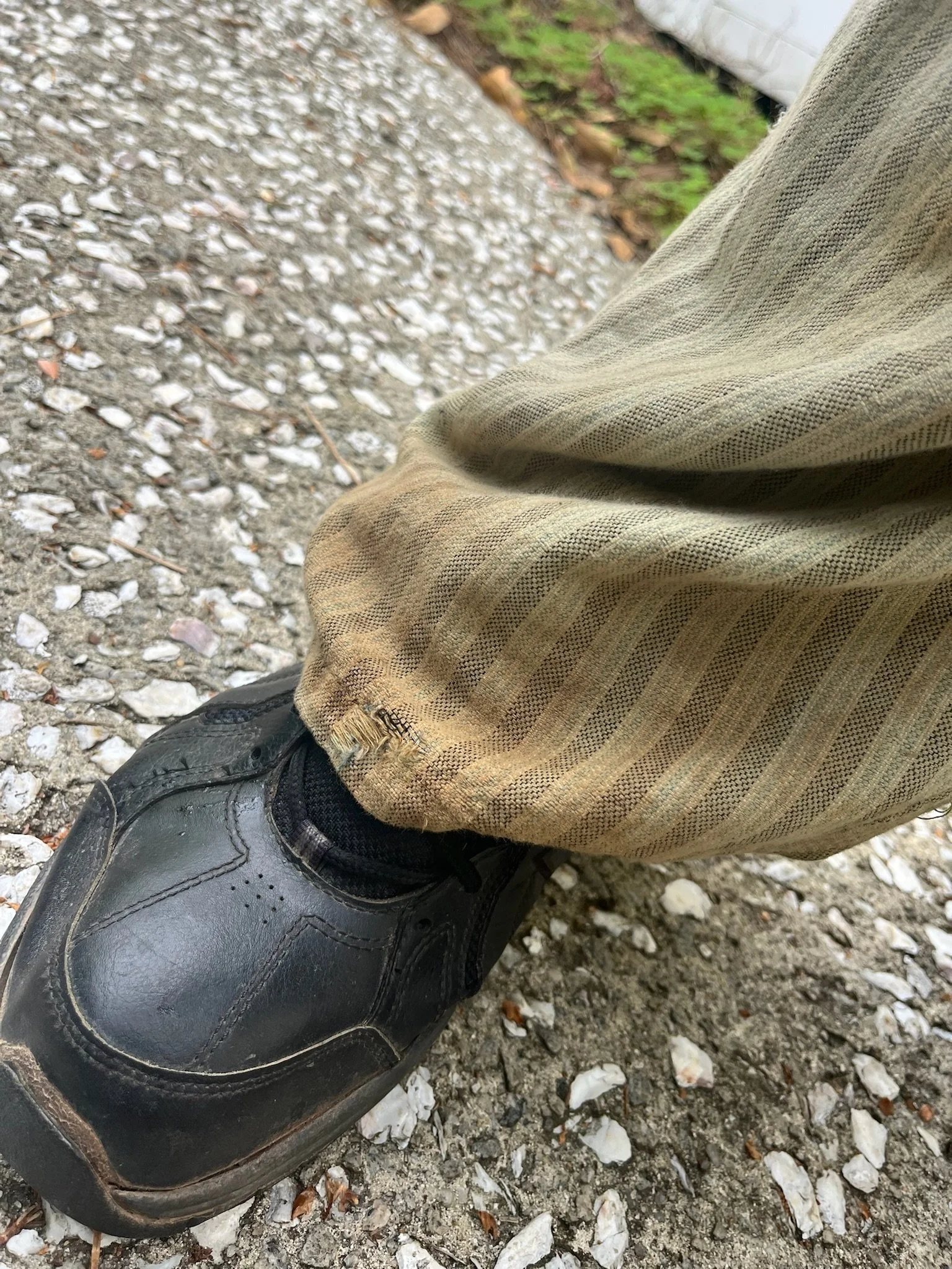 Frank's Pants (Chasing Alice)