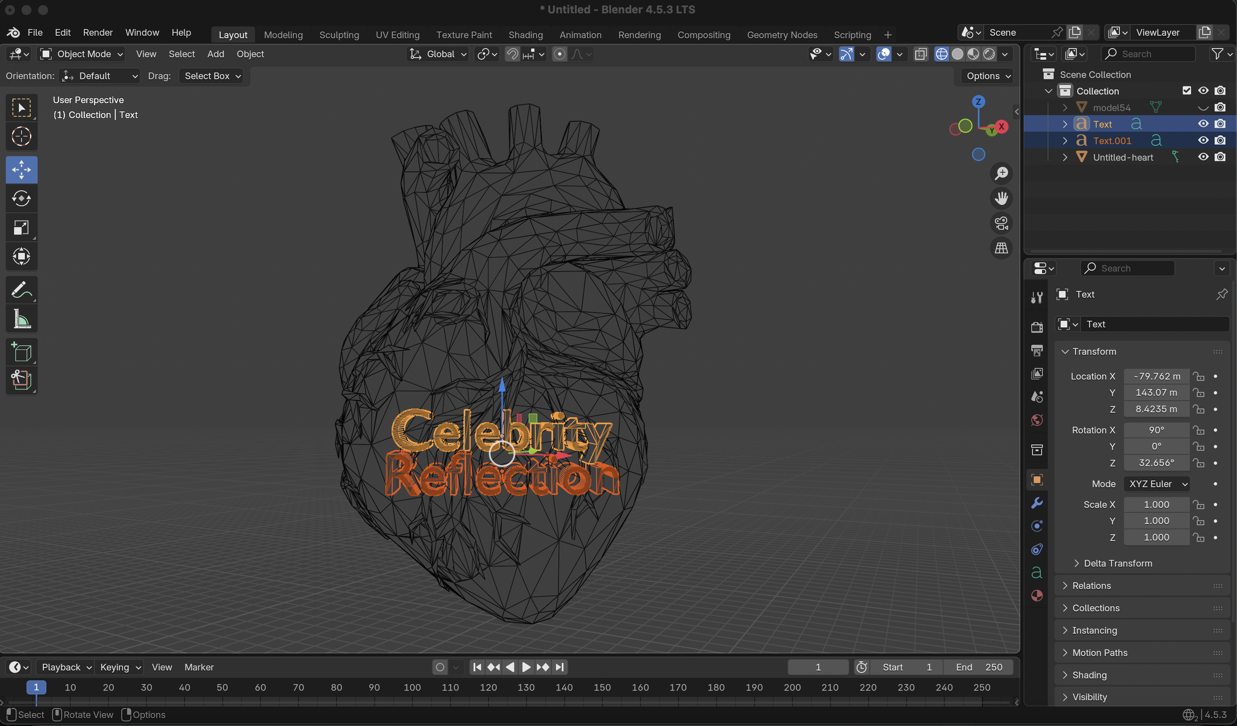 Celebrity Reflection
