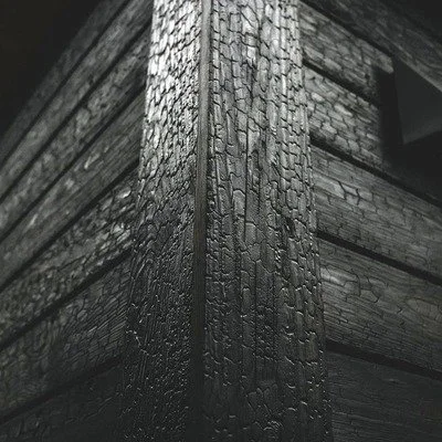 Close-up of a black, charred wooden structure showing the texture and grain of the wood.