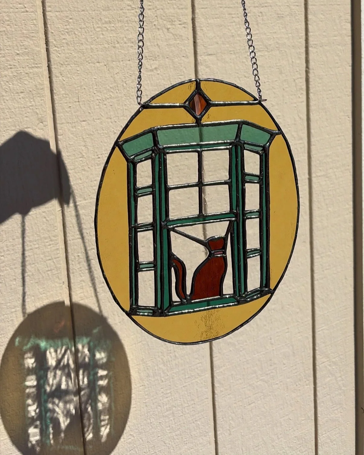 Cat in a Window