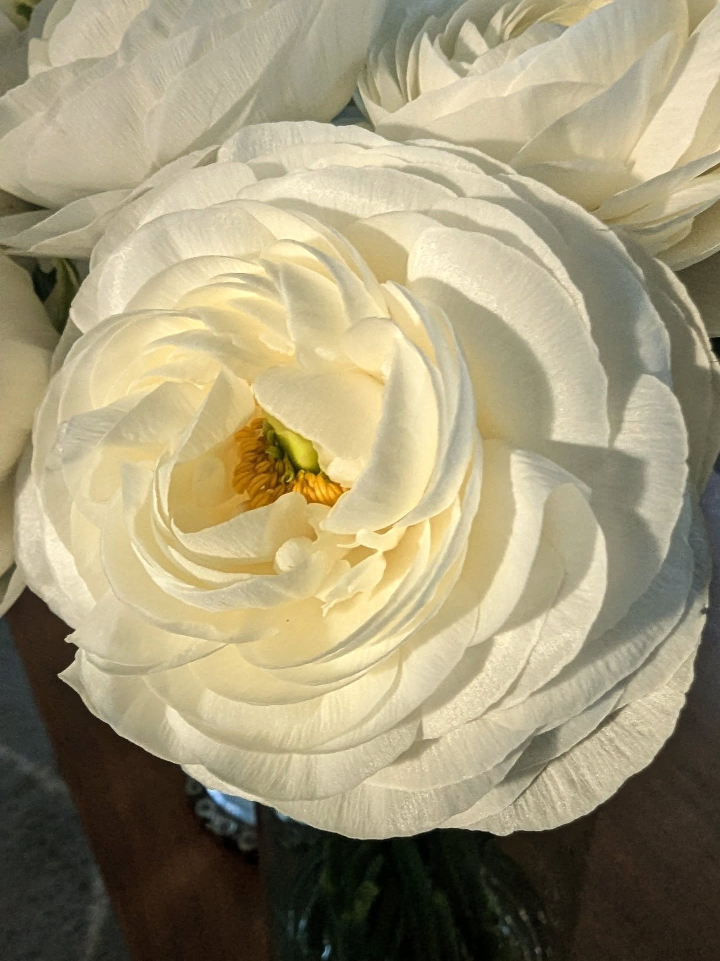 The journey from vase to event in slideshow form.

From wiring ranunculus while catching up on @thedailyshow 

>> To the full studio design, captured the morning after a very late night 

>> To the store the day of the event, all packed u