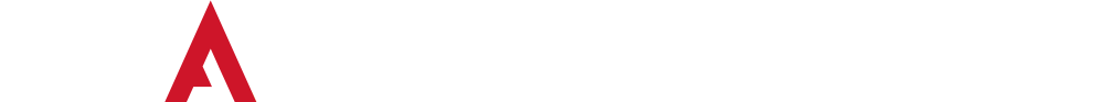 American Authoritarianism
