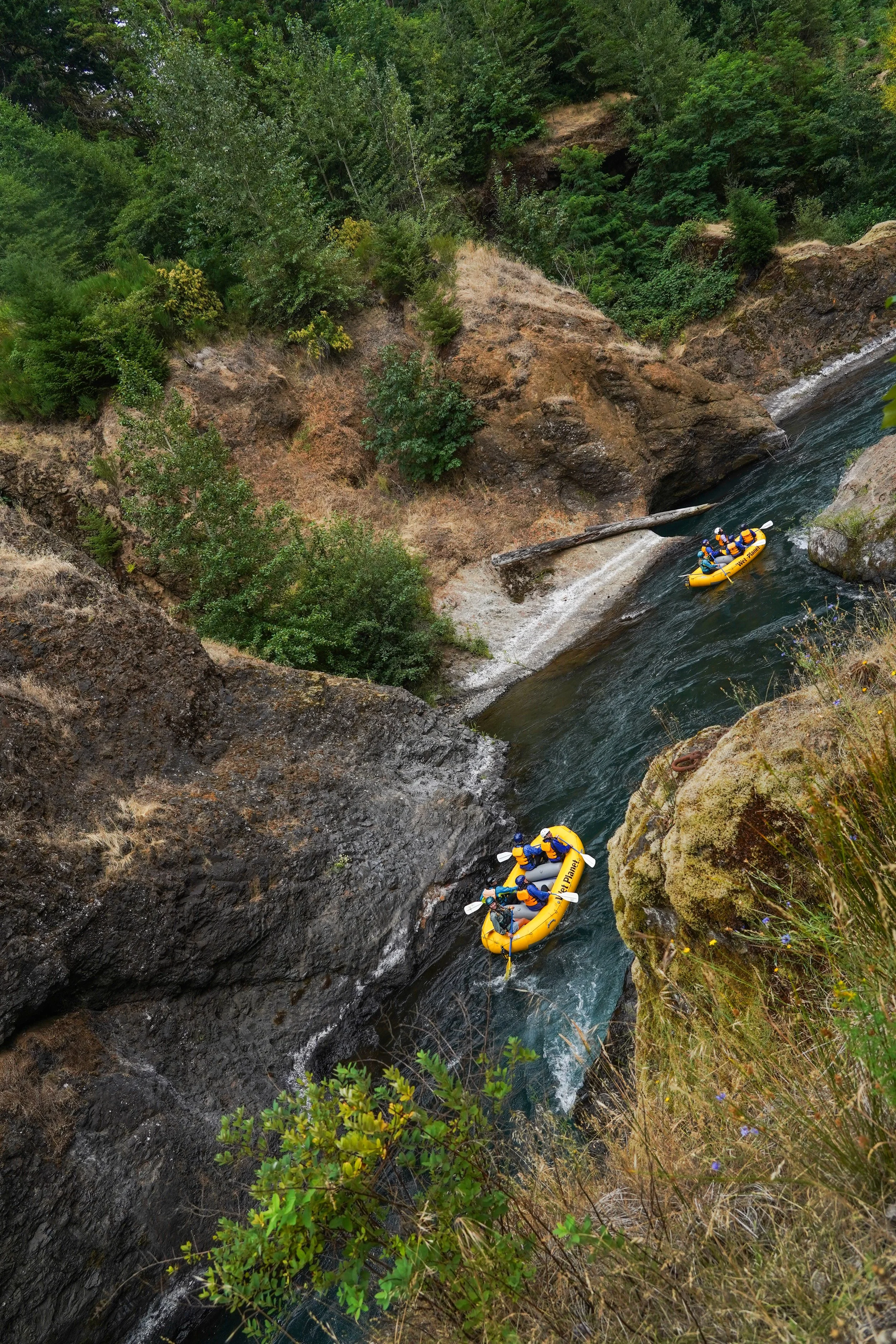 White Salmon 7-20-26-15.jpg