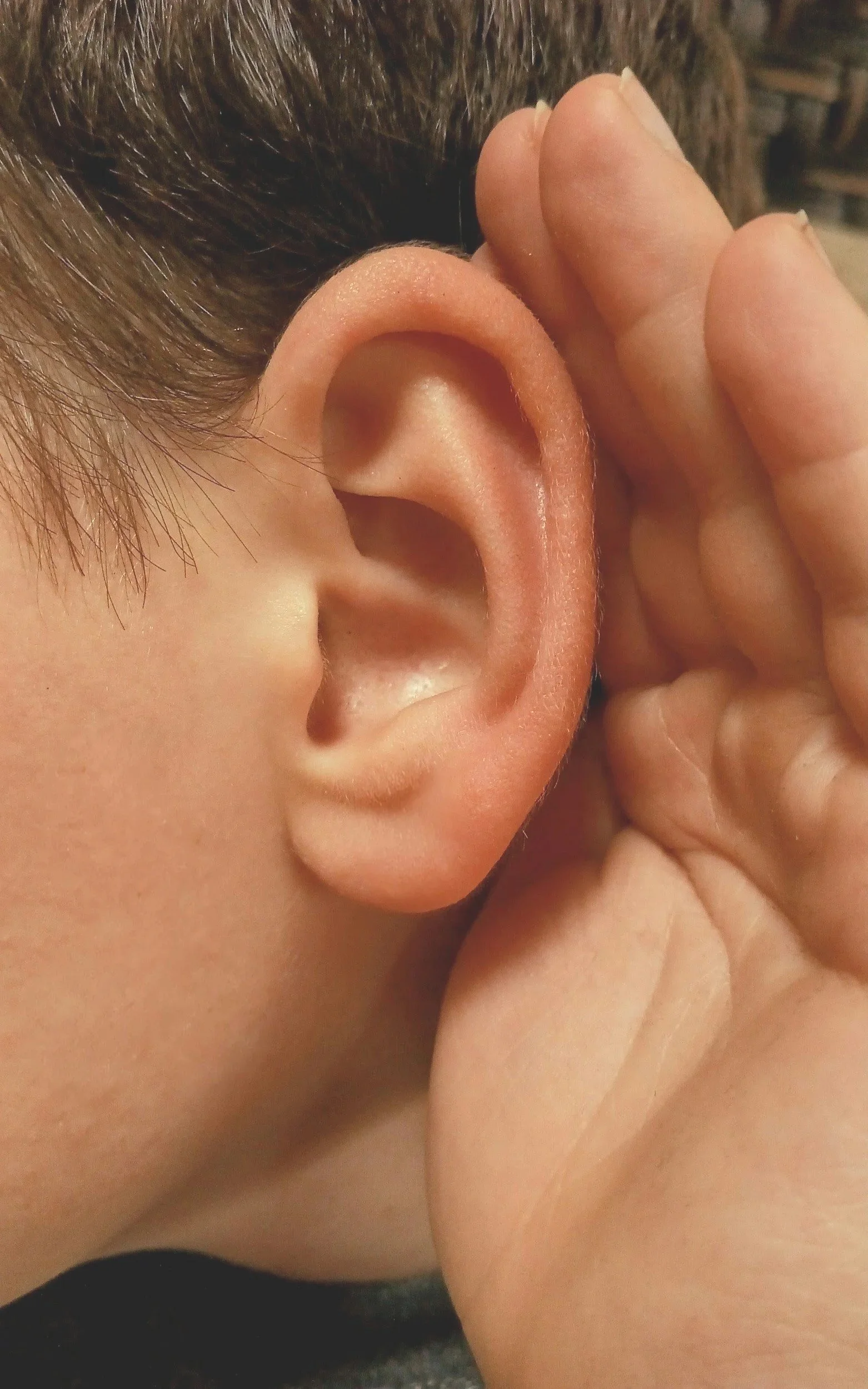 The Ear to Brain Connection Workshop