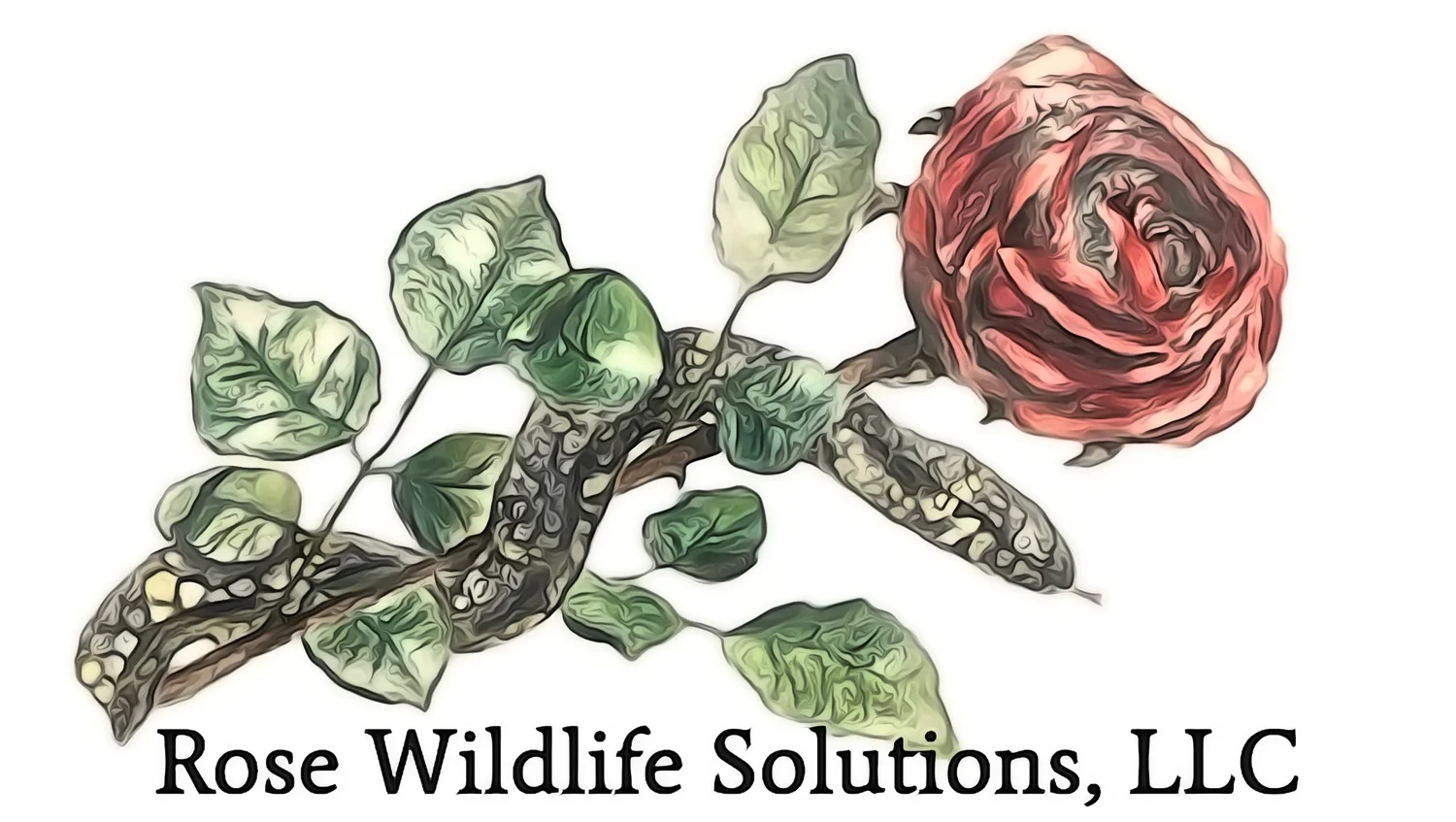 Rose Wildlife Solutions             910.874.6905