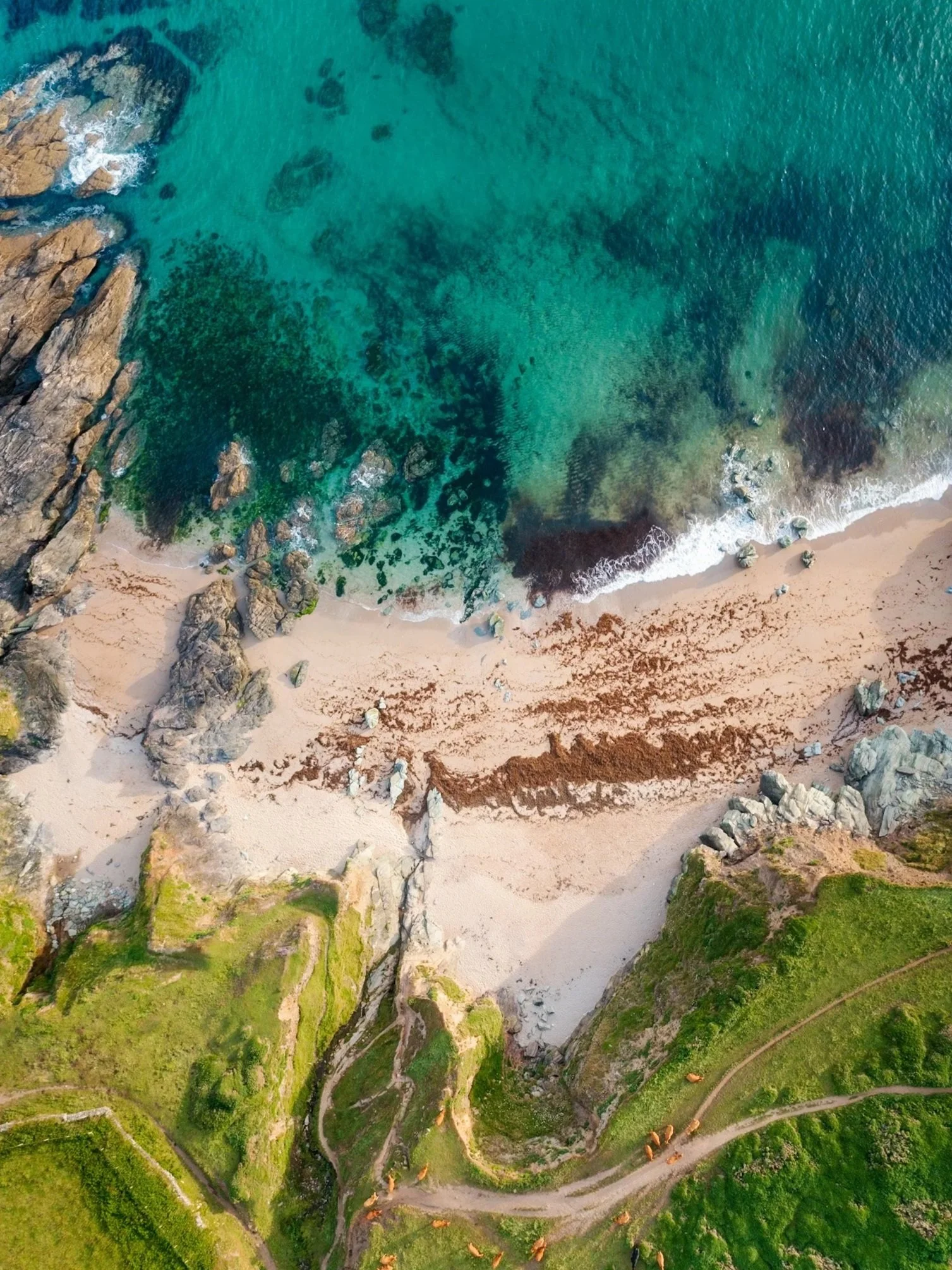 Aerial view of a sandy beach with rocks and clear turquoise water, green grassy cliffs, and a walking path.