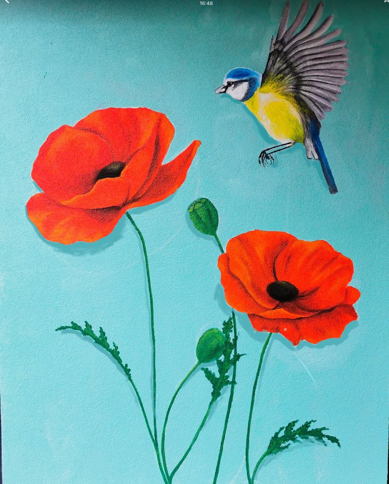 Orlagh Creates Poppies and blue tit bird flying against a blue background. 