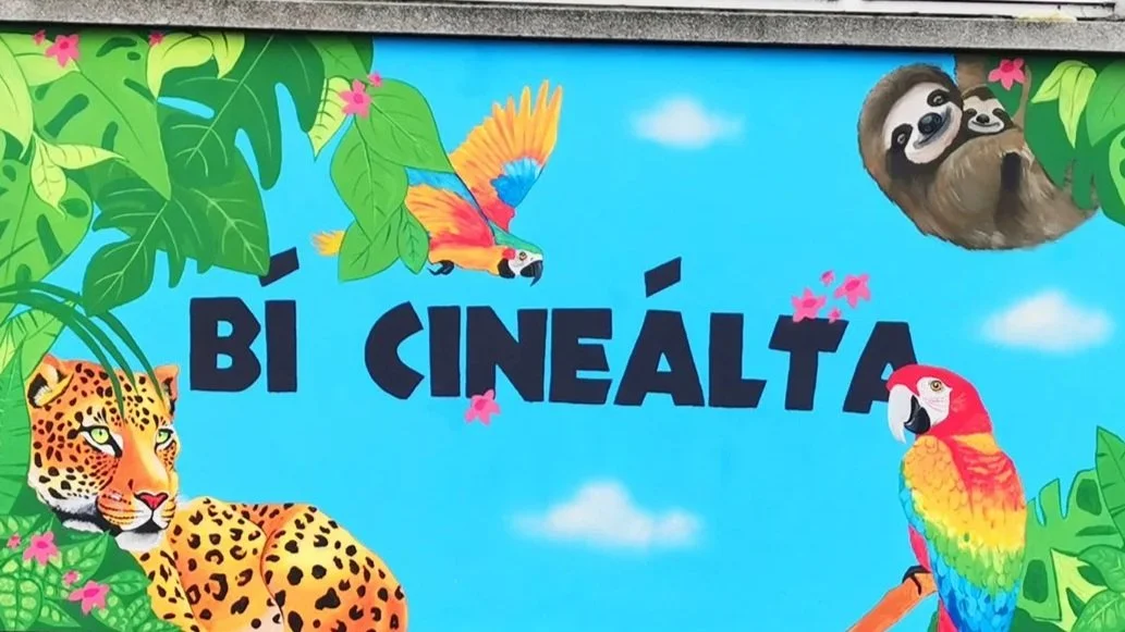 Orlagh Creates School Mural