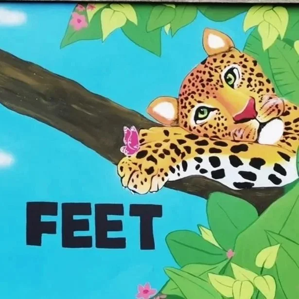 Kind feet mural is one of four murals for a school playground. I used a leopard on a log with a butterfly on its paw to represent kind feet. I went for a jungle theme for these murals