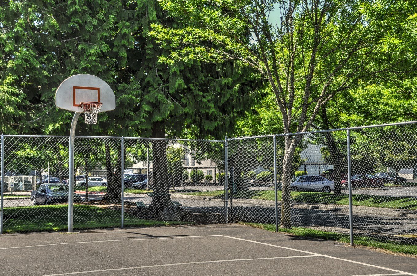 Basketball2.jpg