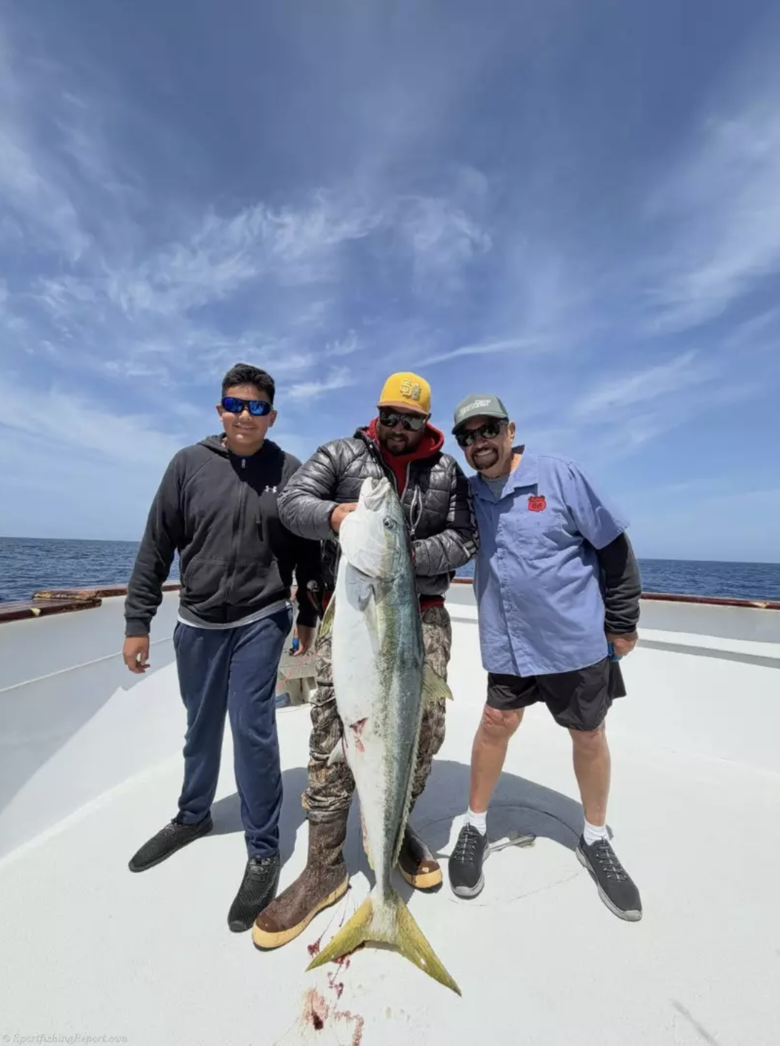 48#Yellowtail.png