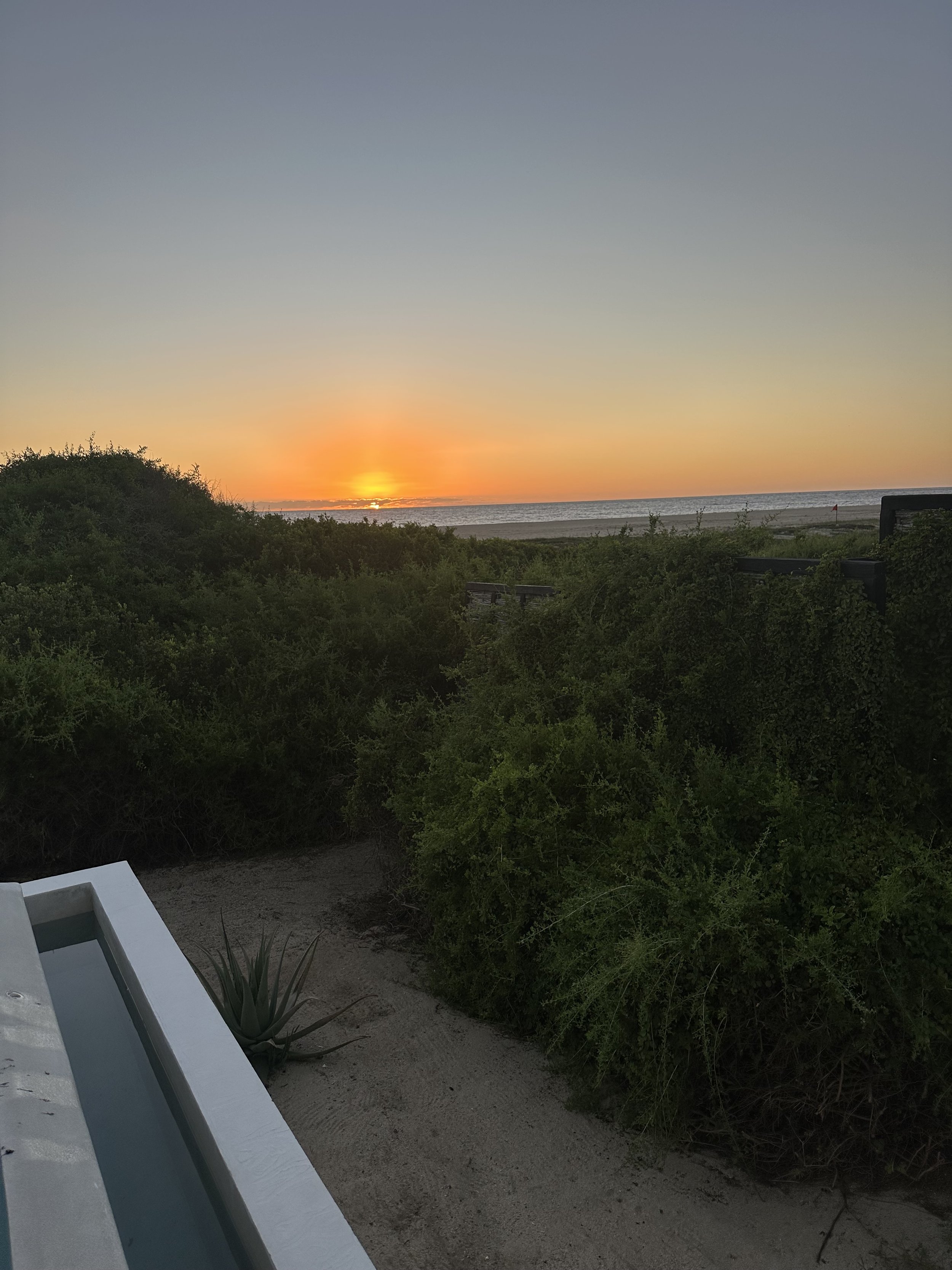 IMG_0440.jpeg