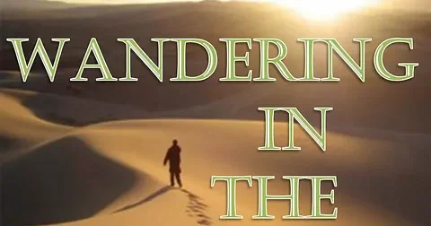 Moving from Searching to Understanding