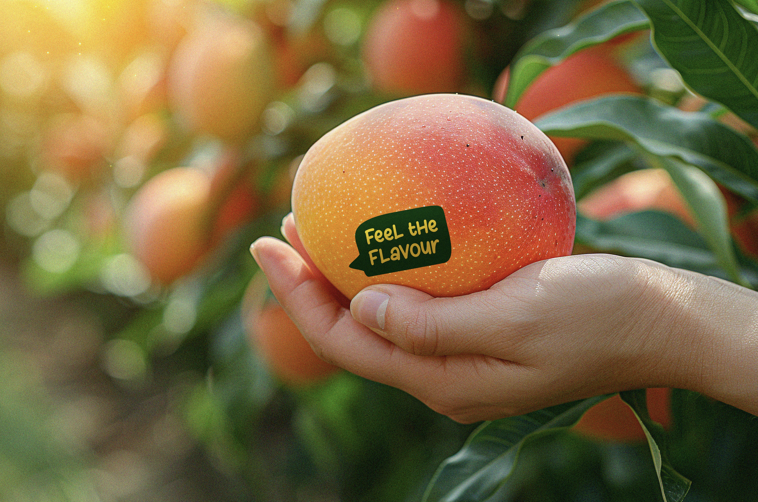 mango mambo.png