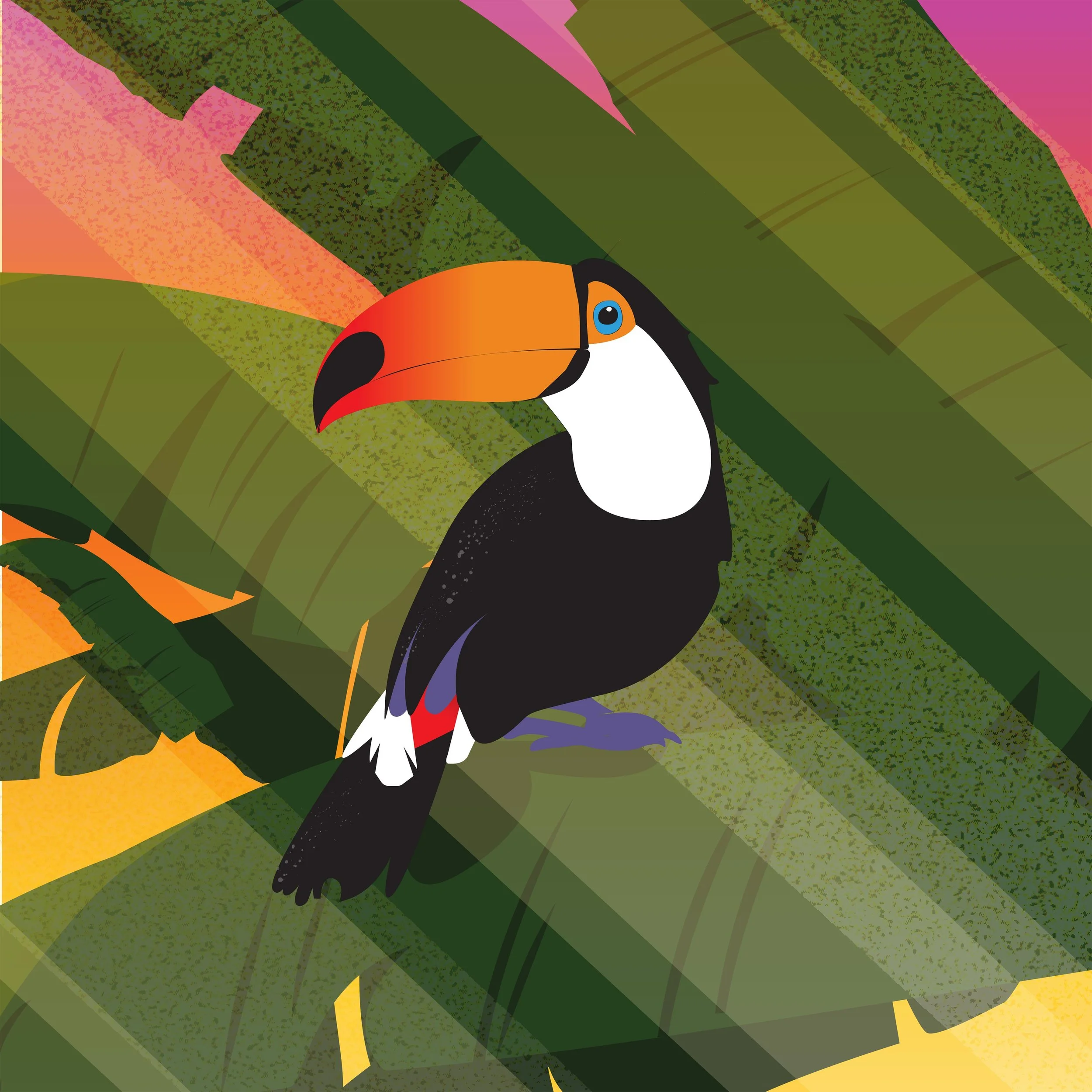bird-illustration-detail-01.jpg