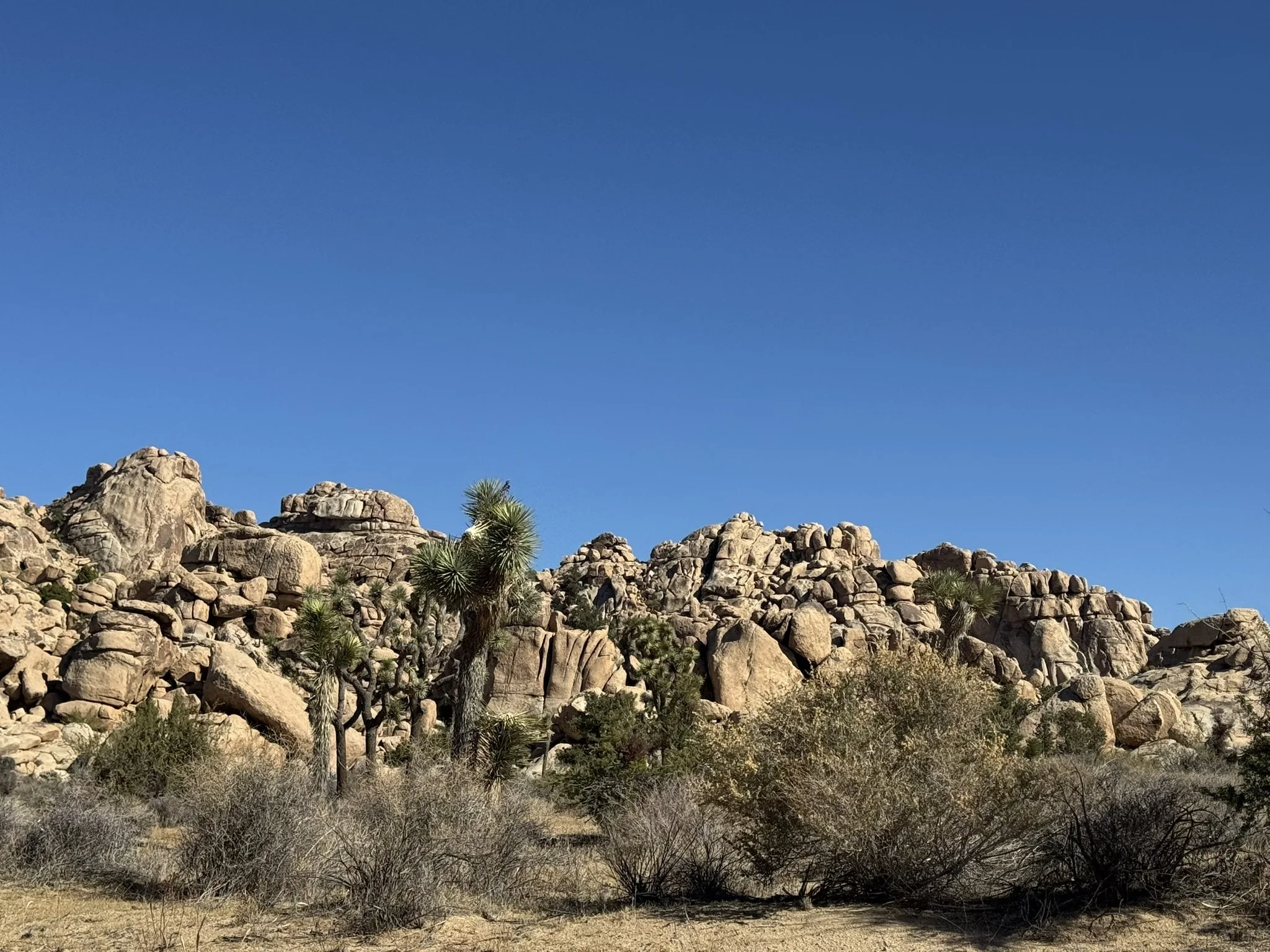 West Entrance, Joshua Tree National Park