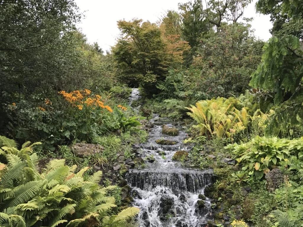Rock Garden, Royal Botanic Garden, Edinburgh, Scotland, United Kingdom